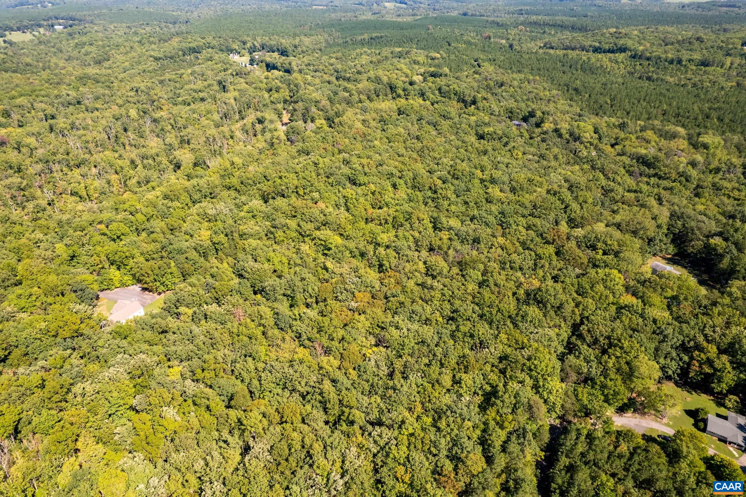 0 CHESTNUT GROVE RD, ESMONT, Virginia 22937, ,Land,0 CHESTNUT GROVE RD,682203 MLS # 682203 0 CHESTNUT GROVE RD, ESMONT, Virginia 22937, ,Land,0 CHESTNUT GROVE RD,682203 MLS # 682203