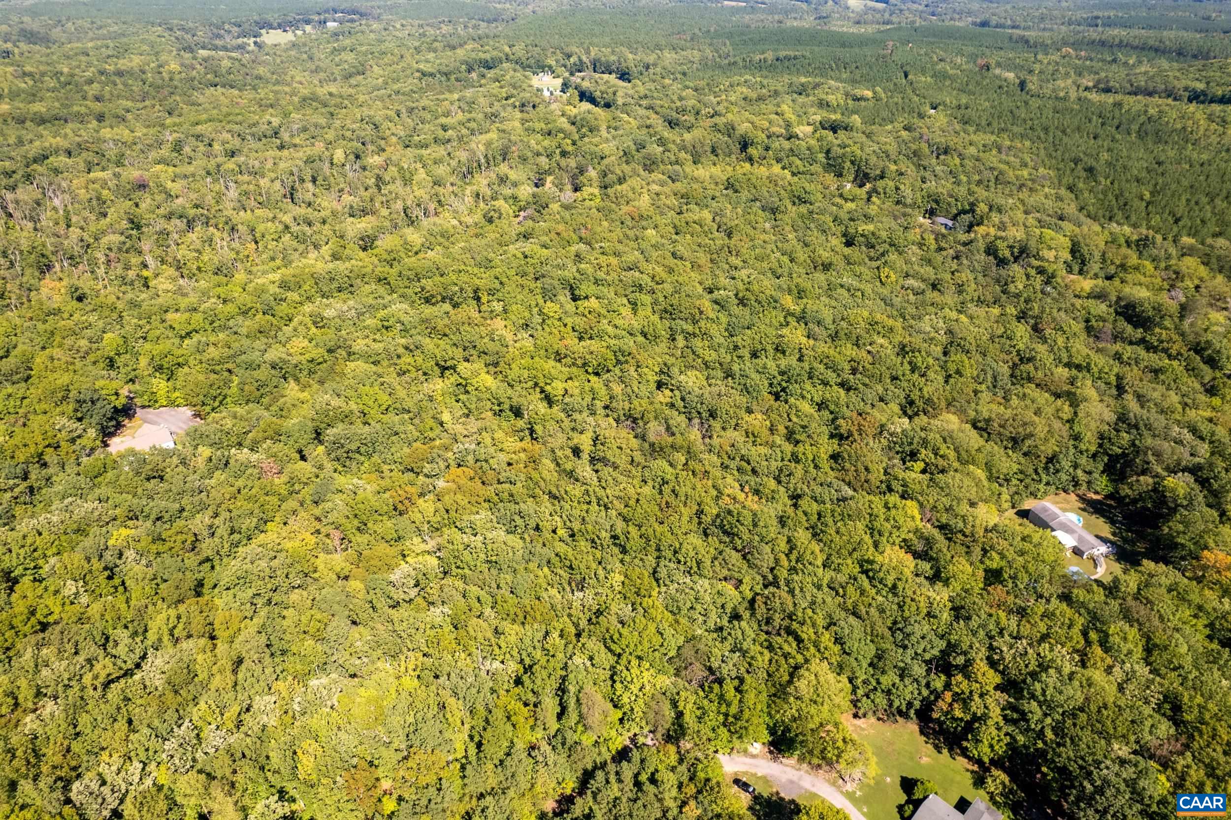 0 CHESTNUT GROVE RD, ESMONT, Virginia 22937, ,Land,0 CHESTNUT GROVE RD,682203 MLS # 682203 0 CHESTNUT GROVE RD, ESMONT, Virginia 22937, ,Land,0 CHESTNUT GROVE RD,682203 MLS # 682203