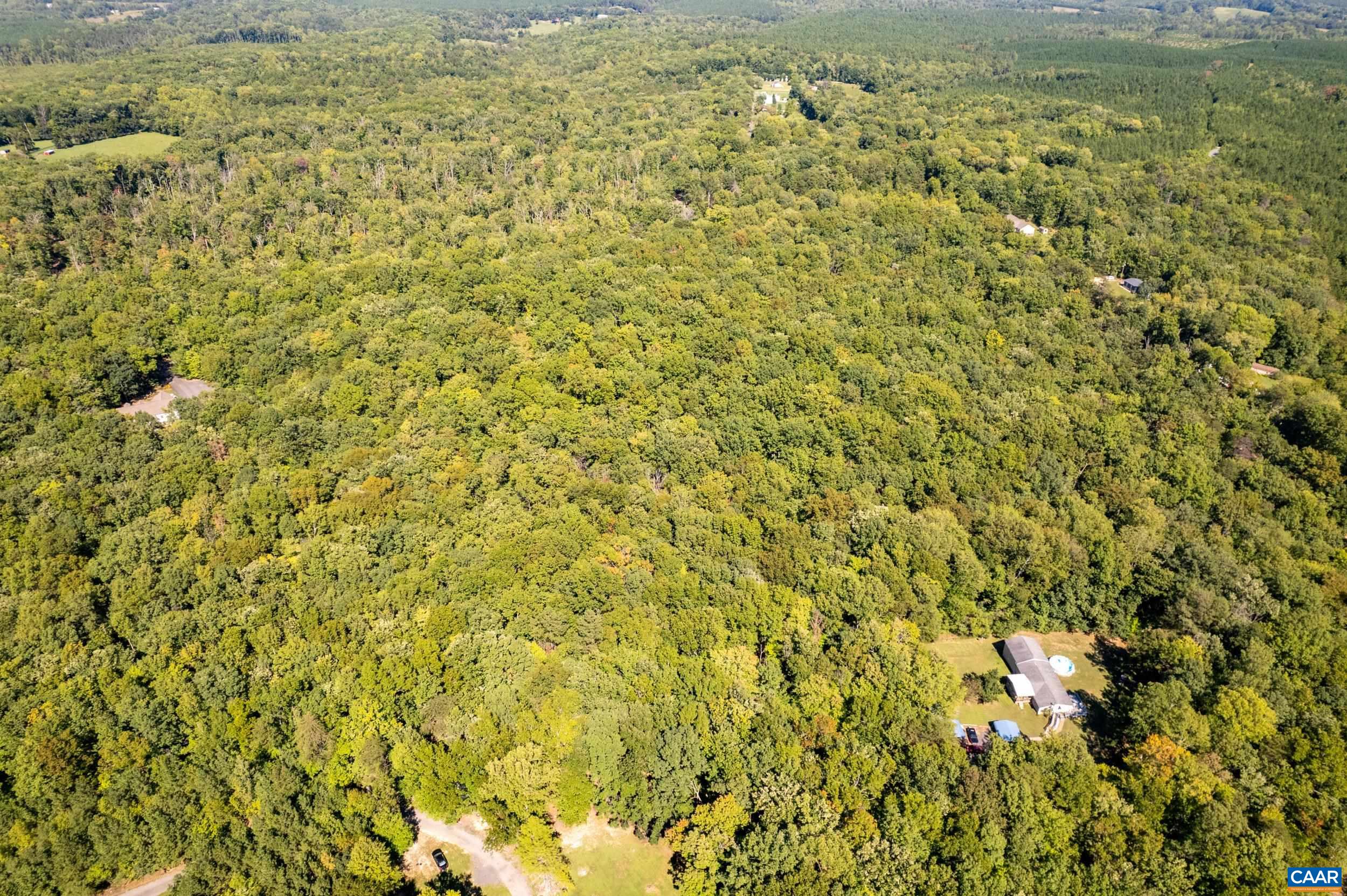 0 CHESTNUT GROVE RD, ESMONT, Virginia 22937, ,Land,0 CHESTNUT GROVE RD,682203 MLS # 682203 0 CHESTNUT GROVE RD, ESMONT, Virginia 22937, ,Land,0 CHESTNUT GROVE RD,682203 MLS # 682203