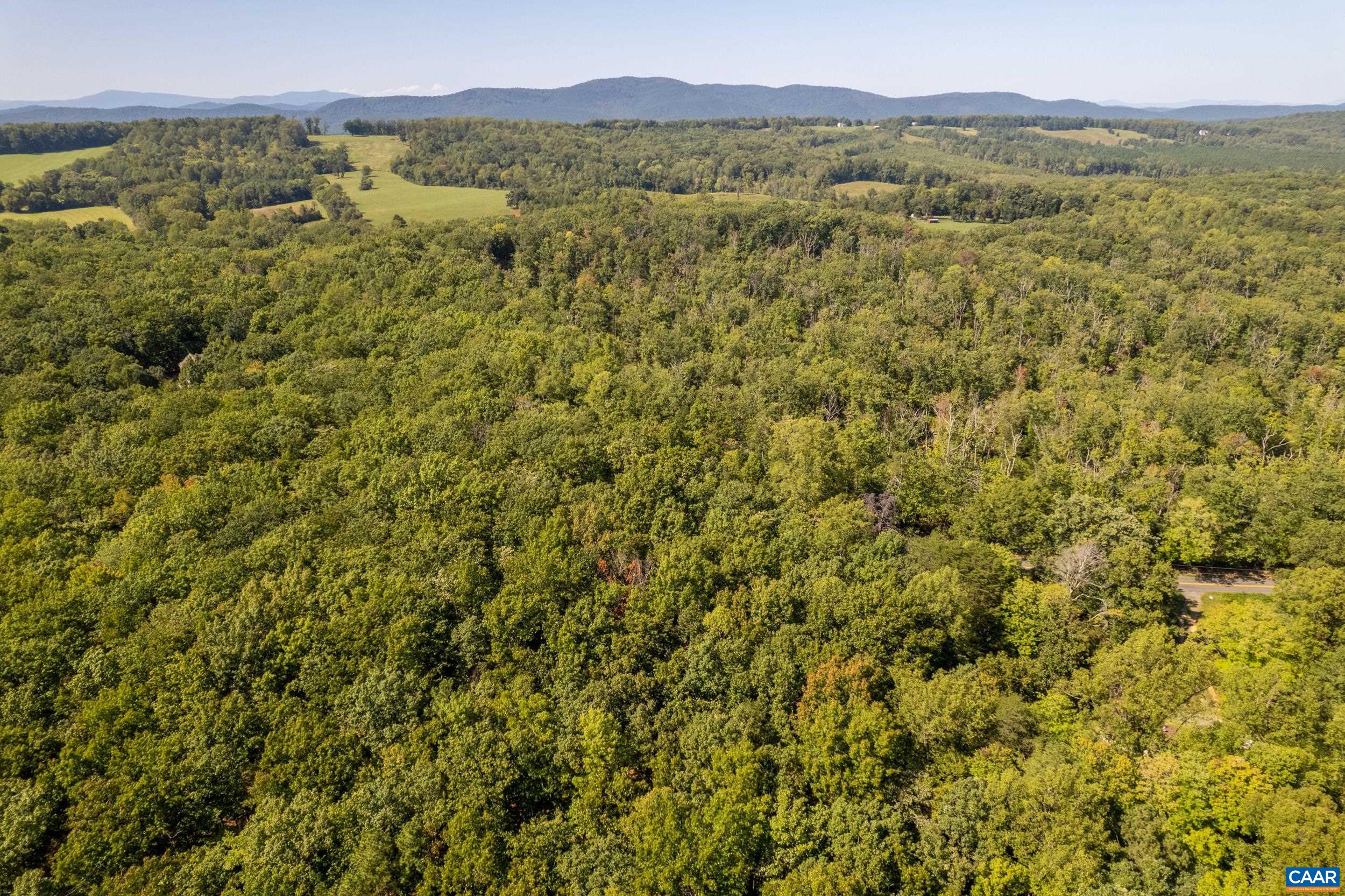 0 CHESTNUT GROVE RD, ESMONT, Virginia 22937, ,Land,0 CHESTNUT GROVE RD,682203 MLS # 682203 0 CHESTNUT GROVE RD, ESMONT, Virginia 22937, ,Land,0 CHESTNUT GROVE RD,682203 MLS # 682203