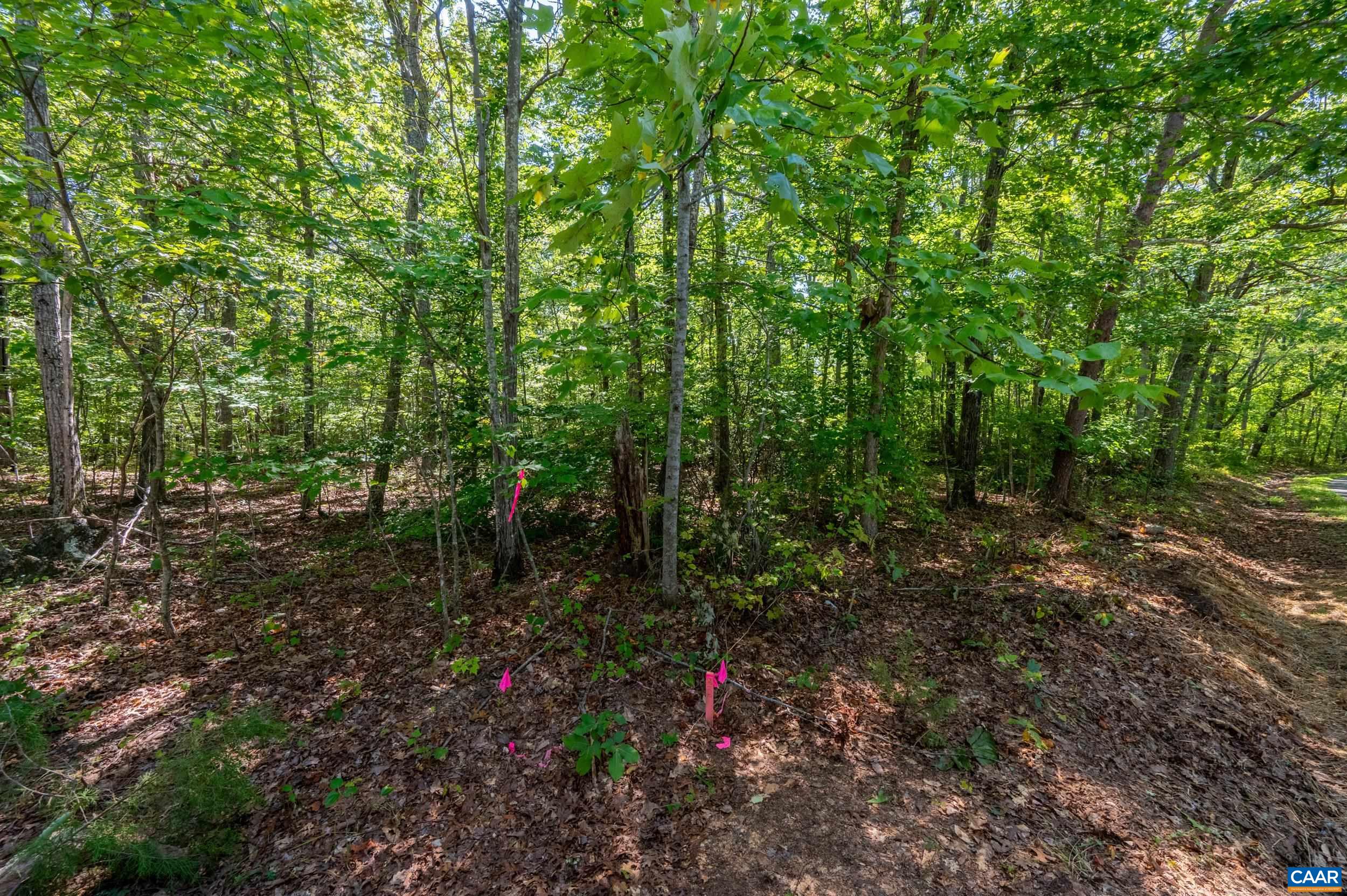 0 CHESTNUT GROVE RD, ESMONT, Virginia 22937, ,Land,0 CHESTNUT GROVE RD,682203 MLS # 682203 0 CHESTNUT GROVE RD, ESMONT, Virginia 22937, ,Land,0 CHESTNUT GROVE RD,682203 MLS # 682203