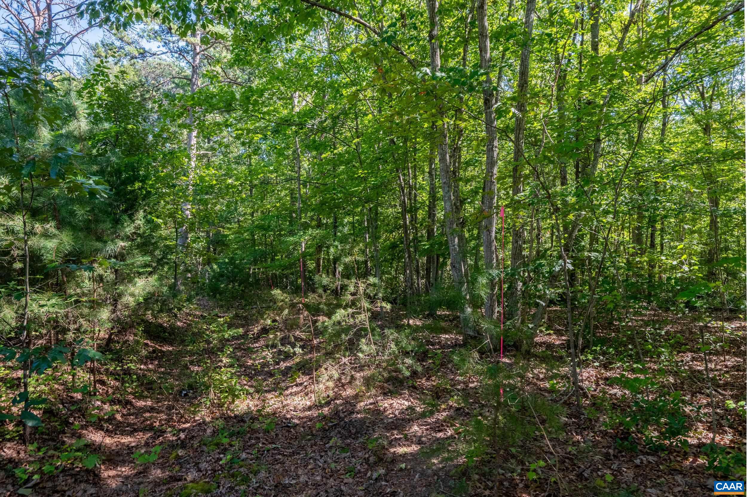0 CHESTNUT GROVE RD, ESMONT, Virginia 22937, ,Land,0 CHESTNUT GROVE RD,682203 MLS # 682203 0 CHESTNUT GROVE RD, ESMONT, Virginia 22937, ,Land,0 CHESTNUT GROVE RD,682203 MLS # 682203