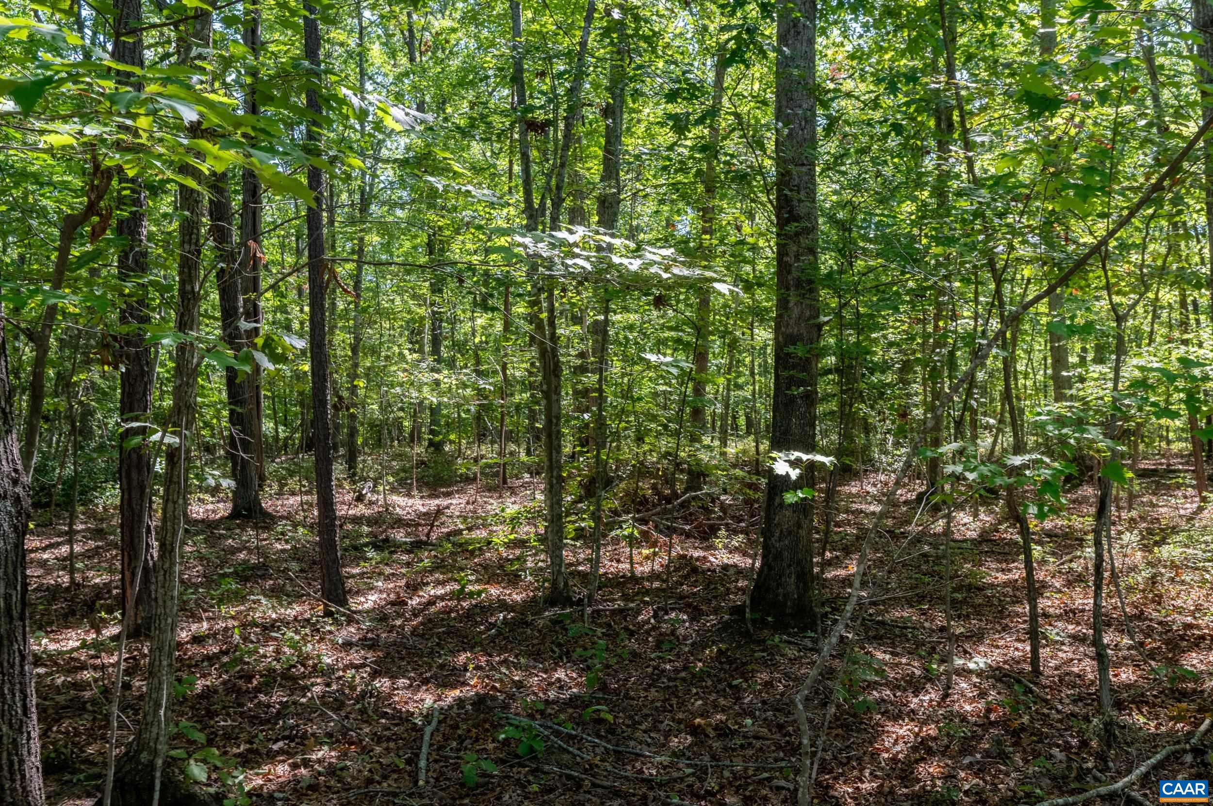 0 CHESTNUT GROVE RD, ESMONT, Virginia 22937, ,Land,0 CHESTNUT GROVE RD,682203 MLS # 682203 0 CHESTNUT GROVE RD, ESMONT, Virginia 22937, ,Land,0 CHESTNUT GROVE RD,682203 MLS # 682203