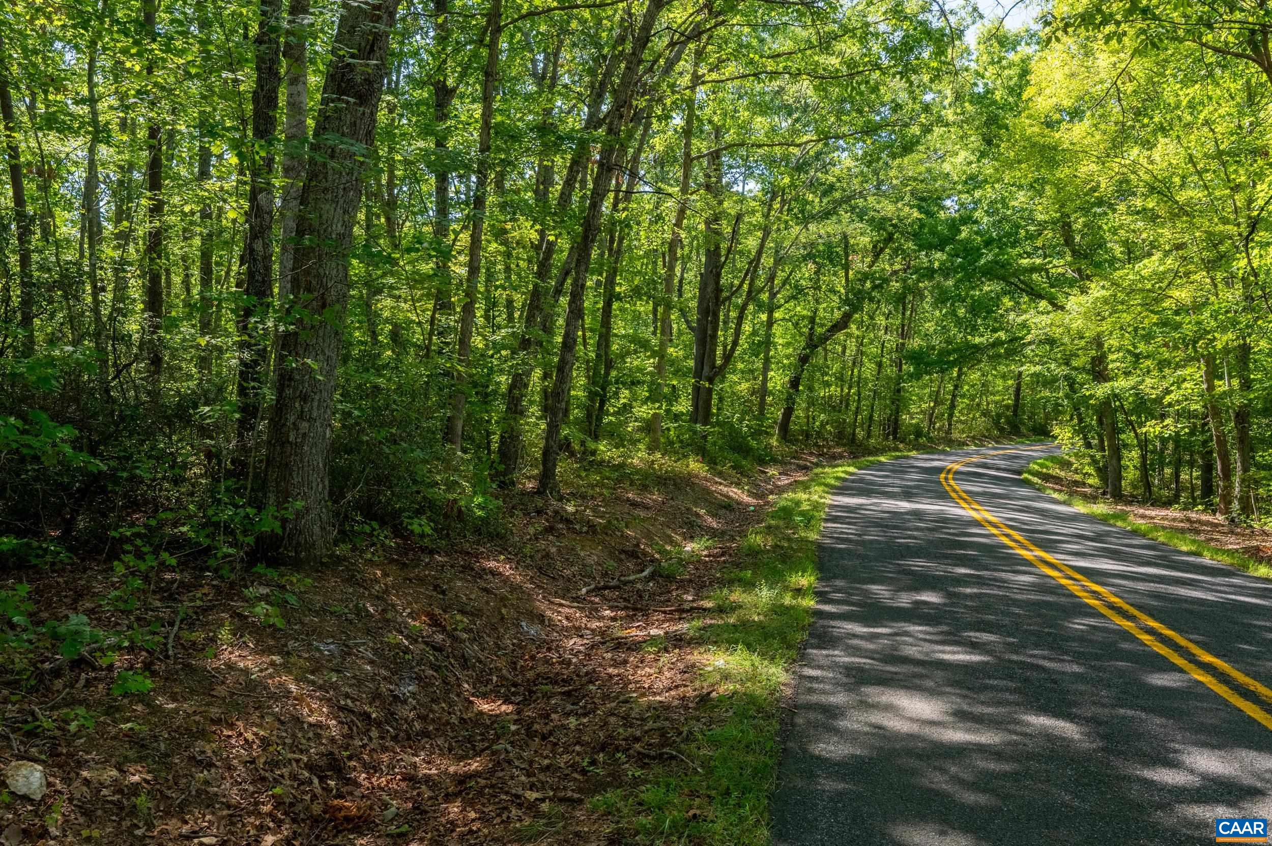 0 CHESTNUT GROVE RD, ESMONT, Virginia 22937, ,Land,0 CHESTNUT GROVE RD,682203 MLS # 682203 0 CHESTNUT GROVE RD, ESMONT, Virginia 22937, ,Land,0 CHESTNUT GROVE RD,682203 MLS # 682203