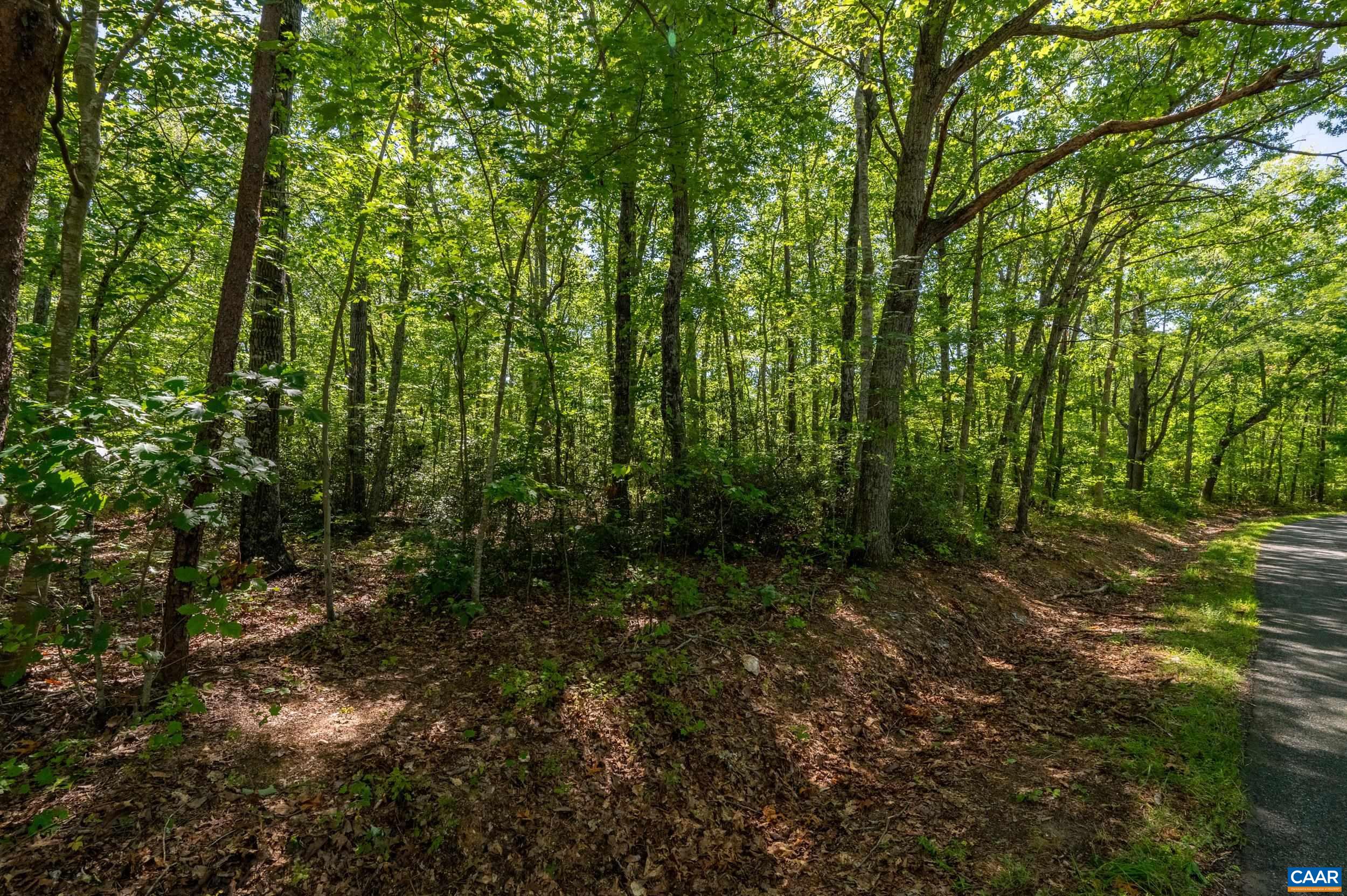 0 CHESTNUT GROVE RD, ESMONT, Virginia 22937, ,Land,0 CHESTNUT GROVE RD,682203 MLS # 682203 0 CHESTNUT GROVE RD, ESMONT, Virginia 22937, ,Land,0 CHESTNUT GROVE RD,682203 MLS # 682203