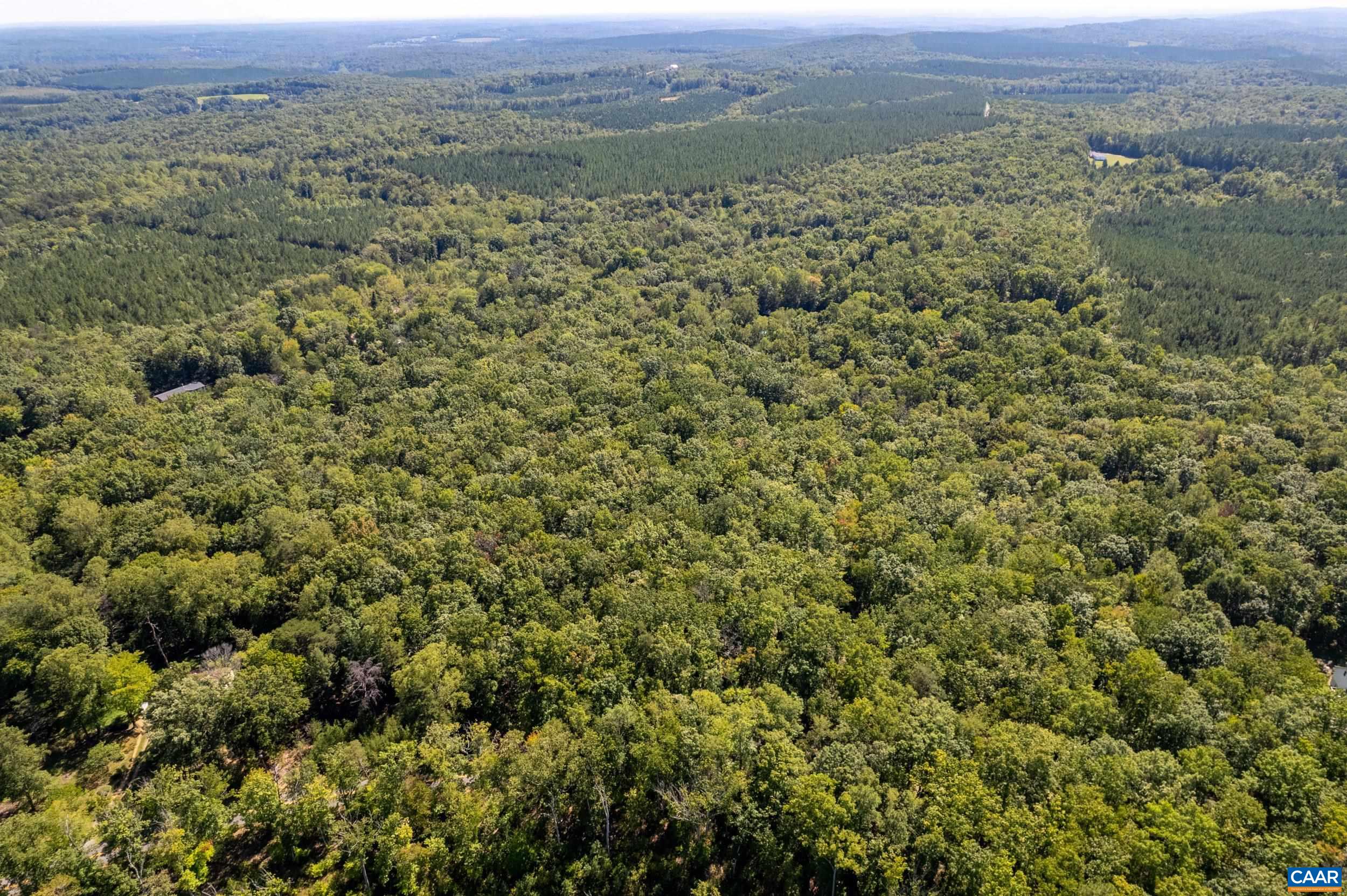 0 CHESTNUT GROVE RD, ESMONT, Virginia 22937, ,Land,0 CHESTNUT GROVE RD,682203 MLS # 682203 0 CHESTNUT GROVE RD, ESMONT, Virginia 22937, ,Land,0 CHESTNUT GROVE RD,682203 MLS # 682203