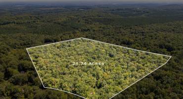 0 CHESTNUT GROVE RD, ESMONT, Virginia 22937, ,Land,0 CHESTNUT GROVE RD,682203 MLS # 682203