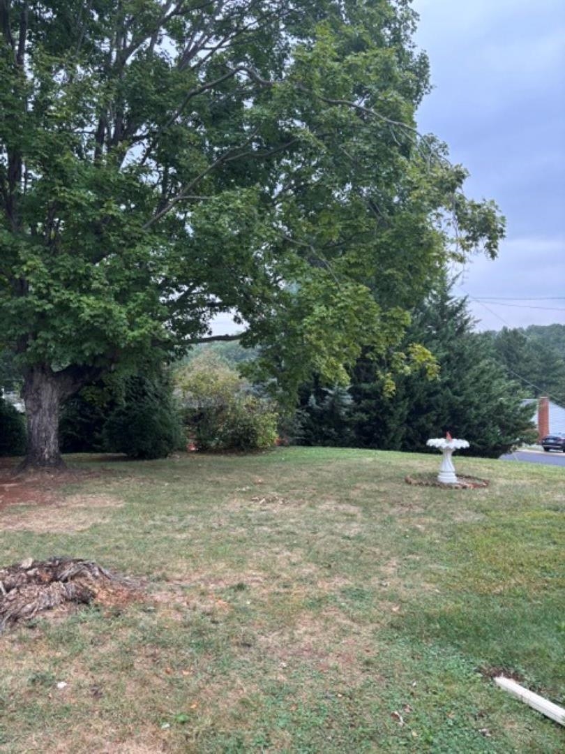 316 MONUMENT DR, STAUNTON, Virginia 24441, 3 Bedrooms Bedrooms, ,1 BathroomBathrooms,Residential,316 Monument Drive, Staunton, Va 24441,316 MONUMENT DR,682196 MLS # 682196