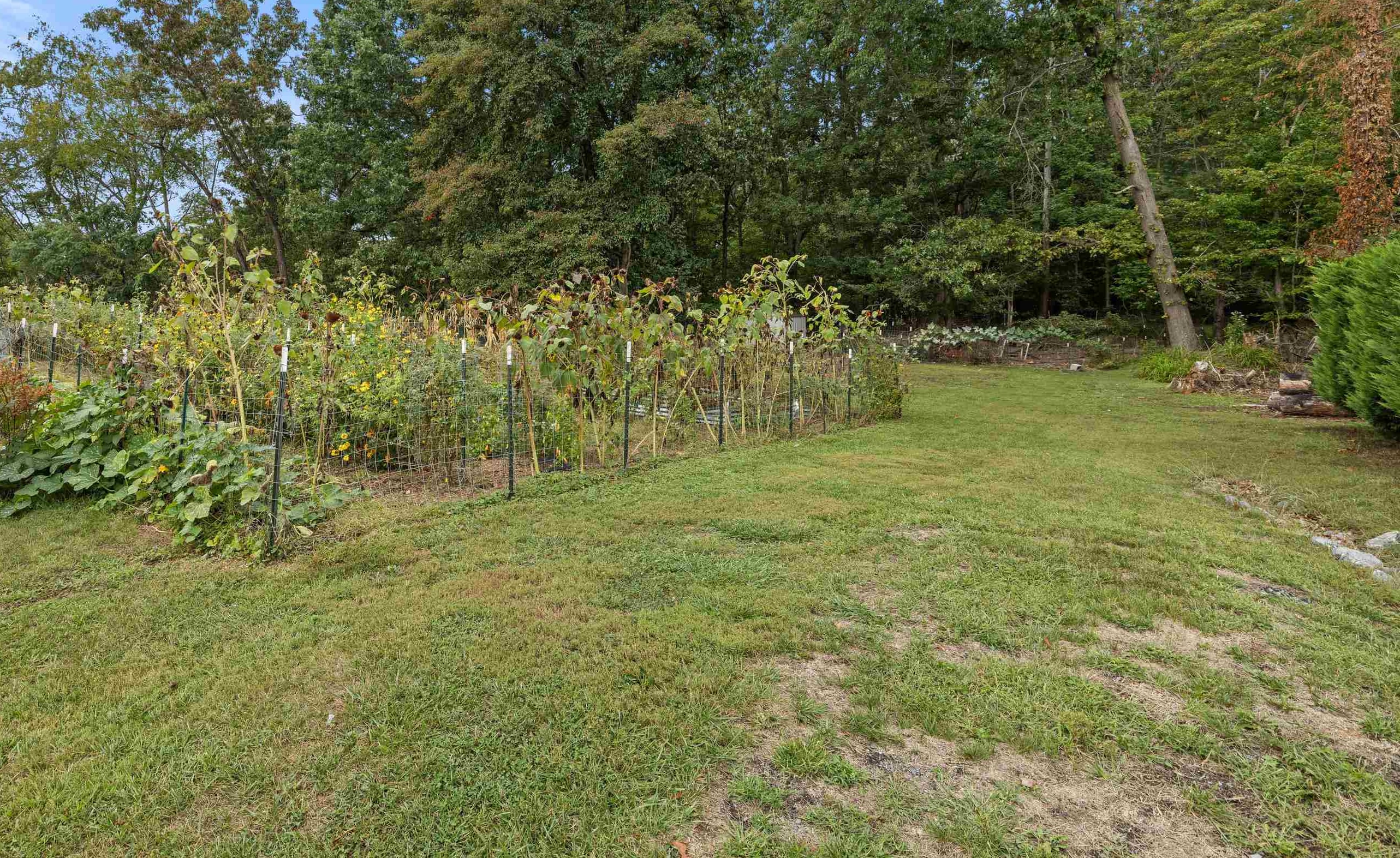 3284 MORRIS MILL RD, STAUNTON, Virginia 24401, 3 Bedrooms Bedrooms, ,1 BathroomBathrooms,Residential,3284 MORRIS MILL RD,682199 MLS # 682199 3284 MORRIS MILL RD, STAUNTON, Virginia 24401, 3 Bedrooms Bedrooms, ,1 BathroomBathrooms,Residential,3284 MORRIS MILL RD,682199 MLS # 682199