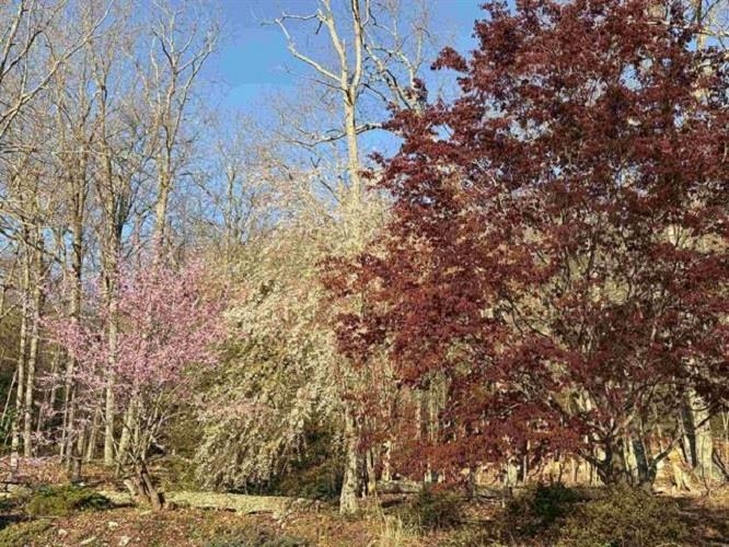 28 LITTLE CHESTNUT LN, LYNDHURST, Virginia 22952, 3 Bedrooms Bedrooms, ,2 BathroomsBathrooms,Residential,28 LITTLE CHESTNUT LN,682209 MLS # 682209 28 LITTLE CHESTNUT LN, LYNDHURST, Virginia 22952, 3 Bedrooms Bedrooms, ,2 BathroomsBathrooms,Residential,28 LITTLE CHESTNUT LN,682209 MLS # 682209