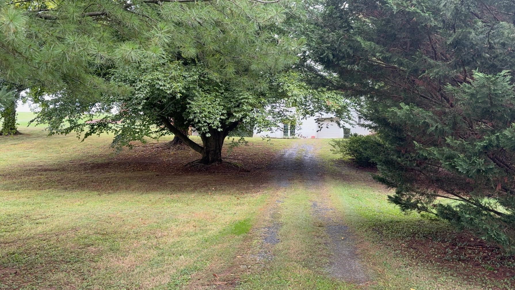 1249 NOVA DR, WAYNESBORO, Virginia 22980, 4 Bedrooms Bedrooms, ,2 BathroomsBathrooms,Residential,Golf Course Treasure,1249 NOVA DR,682241 MLS # 682241 1249 NOVA DR, WAYNESBORO, Virginia 22980, 4 Bedrooms Bedrooms, ,2 BathroomsBathrooms,Residential,Golf Course Treasure,1249 NOVA DR,682241 MLS # 682241