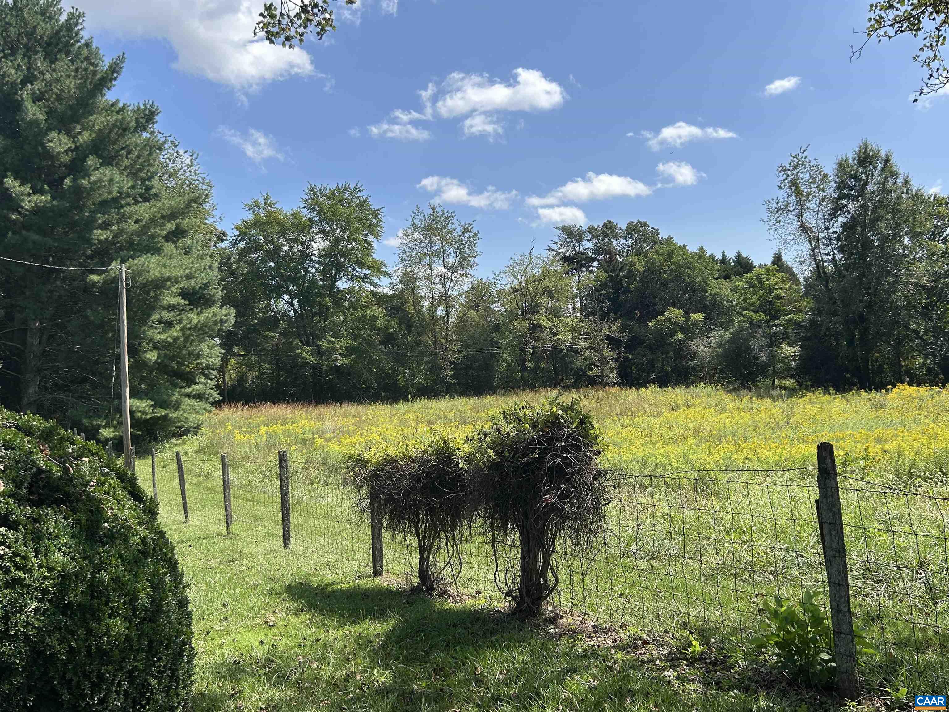 7892 BLENHEIM RD, SCOTTSVILLE, Virginia 24590, 3 Bedrooms Bedrooms, ,2 BathroomsBathrooms,Residential,7892 BLENHEIM RD,682247 MLS # 682247 7892 BLENHEIM RD, SCOTTSVILLE, Virginia 24590, 3 Bedrooms Bedrooms, ,2 BathroomsBathrooms,Residential,7892 BLENHEIM RD,682247 MLS # 682247