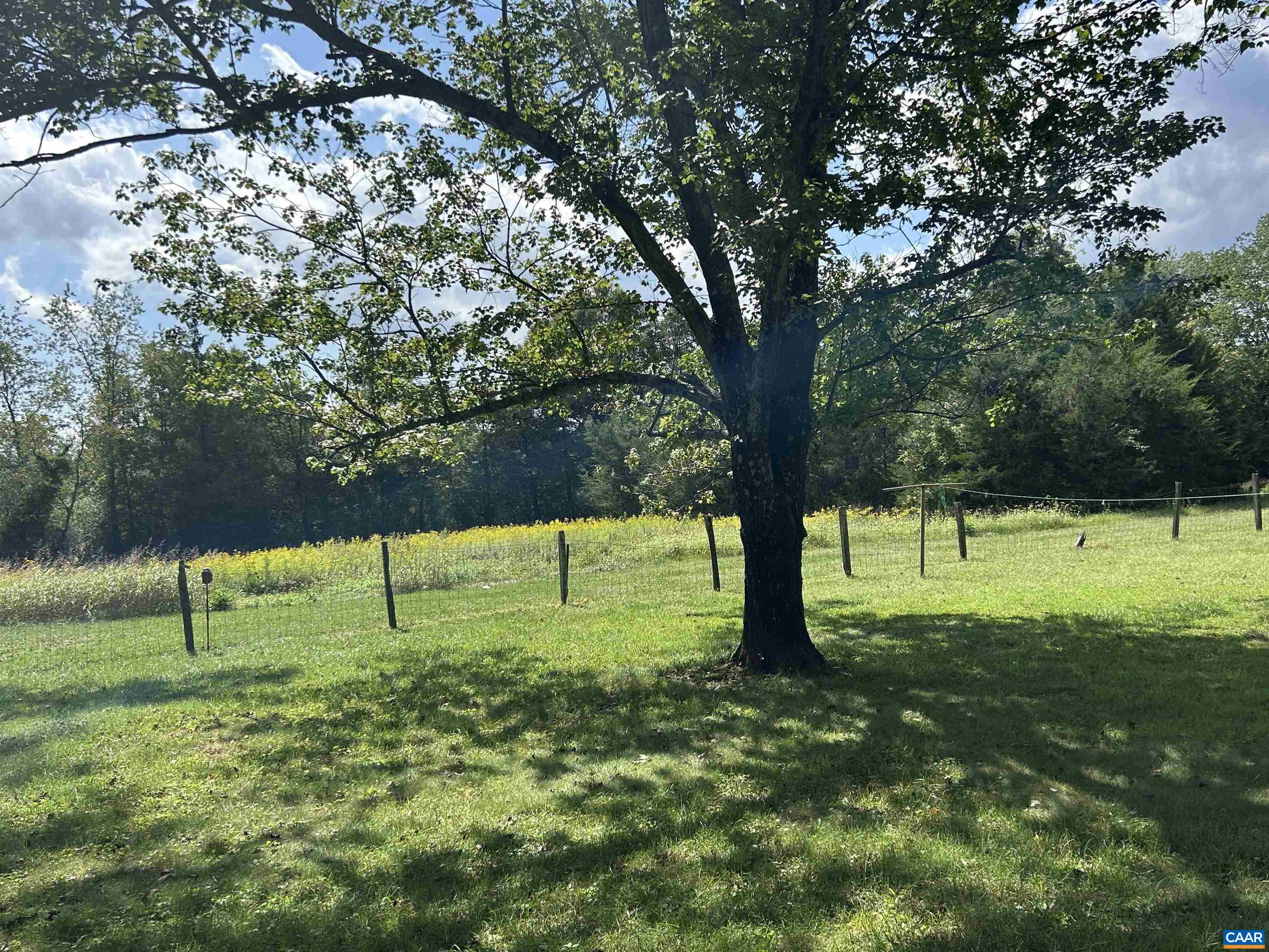 7892 BLENHEIM RD, SCOTTSVILLE, Virginia 24590, 3 Bedrooms Bedrooms, ,2 BathroomsBathrooms,Residential,7892 BLENHEIM RD,682247 MLS # 682247 7892 BLENHEIM RD, SCOTTSVILLE, Virginia 24590, 3 Bedrooms Bedrooms, ,2 BathroomsBathrooms,Residential,7892 BLENHEIM RD,682247 MLS # 682247