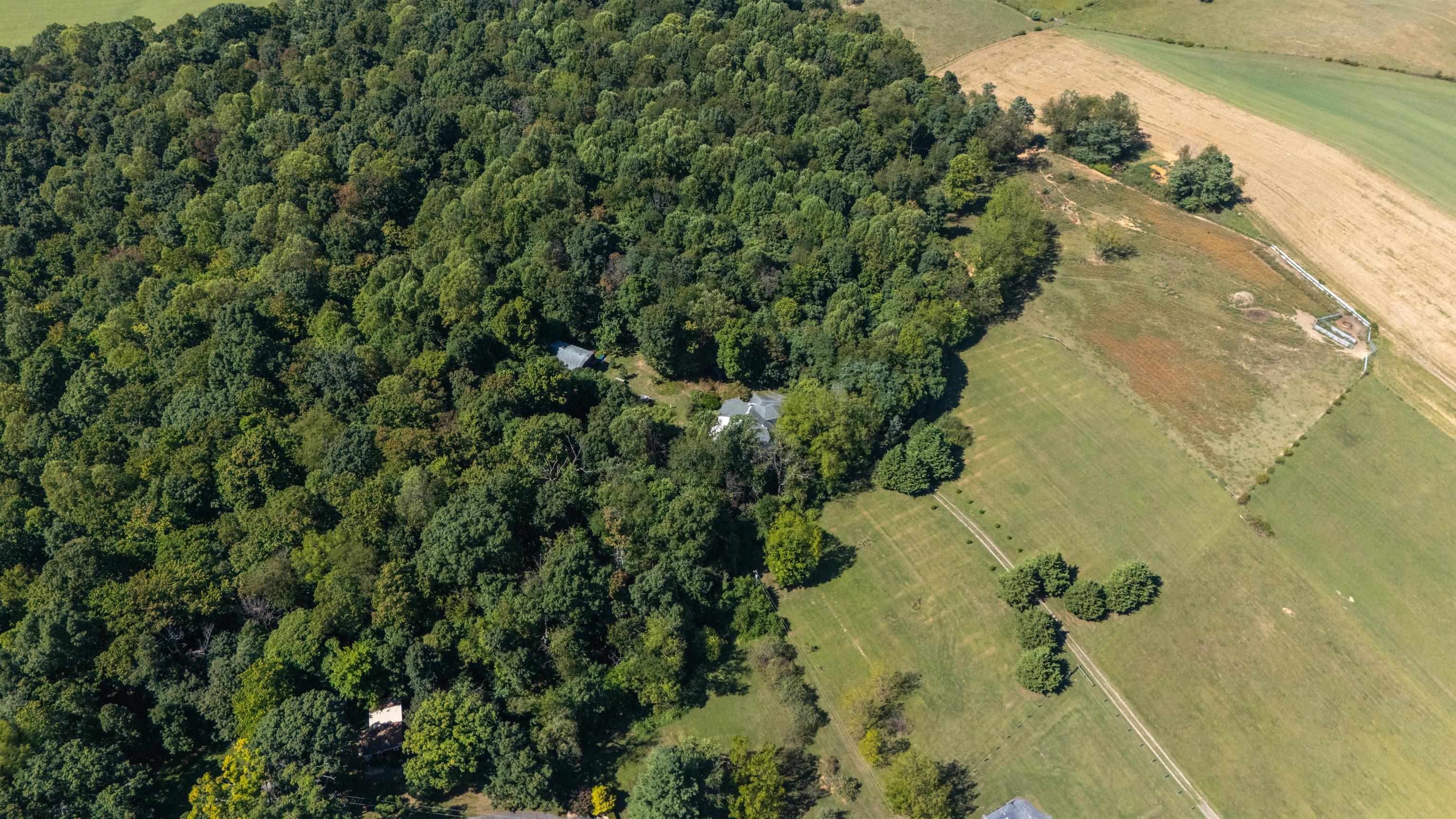 291 MILL LANE RD, STAUNTON, Virginia 24401, 2 Bedrooms Bedrooms, ,1 BathroomBathrooms,Residential,291 MILL LANE RD,682251 MLS # 682251 291 MILL LANE RD, STAUNTON, Virginia 24401, 2 Bedrooms Bedrooms, ,1 BathroomBathrooms,Residential,291 MILL LANE RD,682251 MLS # 682251