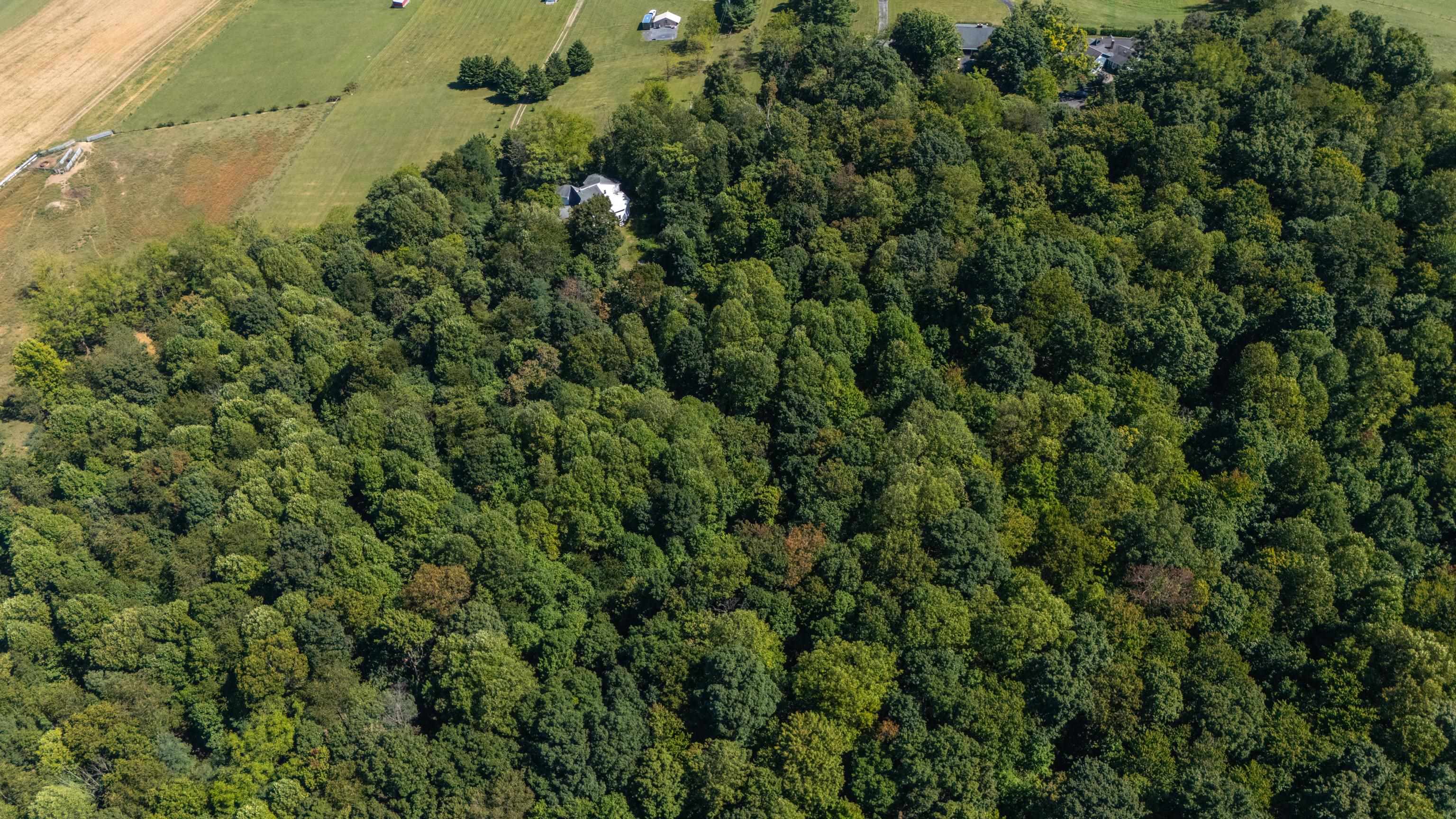 291 MILL LANE RD, STAUNTON, Virginia 24401, 2 Bedrooms Bedrooms, ,1 BathroomBathrooms,Residential,291 MILL LANE RD,682251 MLS # 682251 291 MILL LANE RD, STAUNTON, Virginia 24401, 2 Bedrooms Bedrooms, ,1 BathroomBathrooms,Residential,291 MILL LANE RD,682251 MLS # 682251