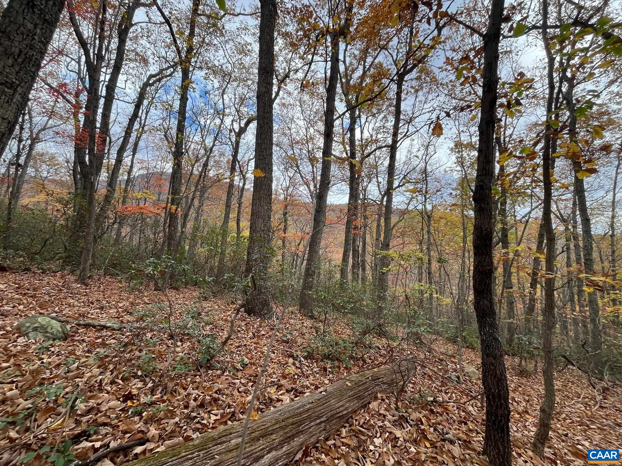 TREE HOUSE PL, NELLYSFORD, Virginia 22958, ,Land,TREE HOUSE PL,682303 MLS # 682303