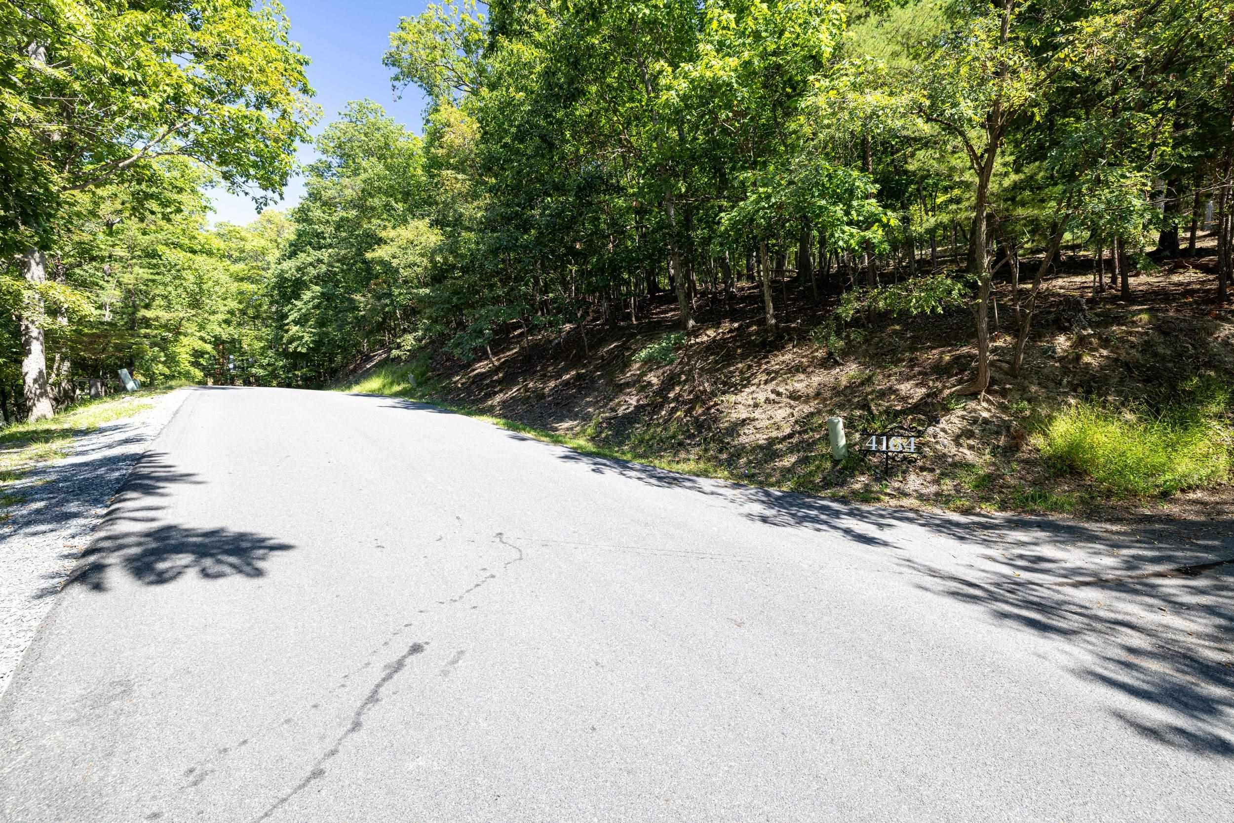4180 PALMER RD, MCGAHEYSVILLE, Virginia 22840, ,Land,4180 PALMER RD,682307 MLS # 682307 4180 PALMER RD, MCGAHEYSVILLE, Virginia 22840, ,Land,4180 PALMER RD,682307 MLS # 682307