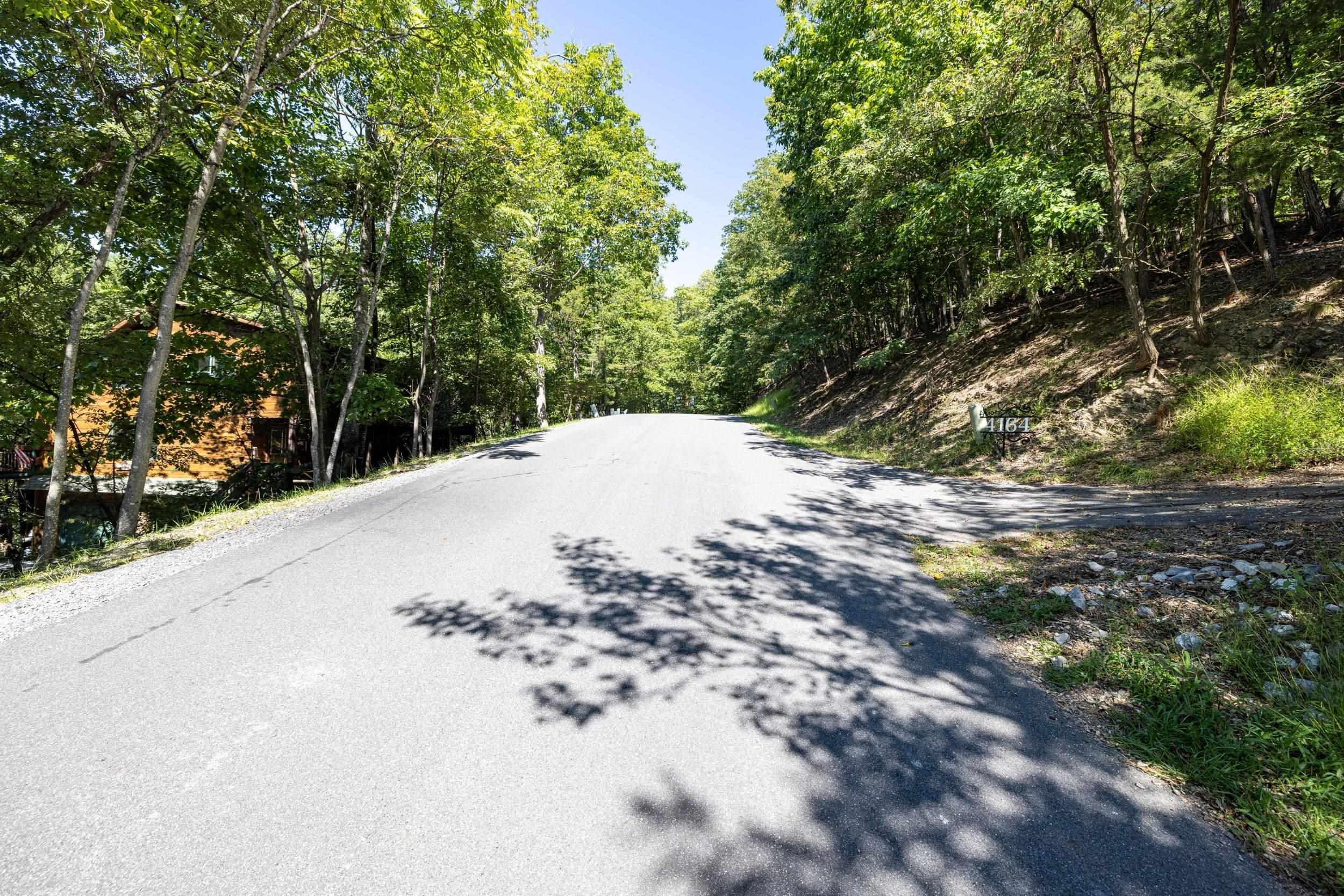 4180 PALMER RD, MCGAHEYSVILLE, Virginia 22840, ,Land,4180 PALMER RD,682307 MLS # 682307 4180 PALMER RD, MCGAHEYSVILLE, Virginia 22840, ,Land,4180 PALMER RD,682307 MLS # 682307