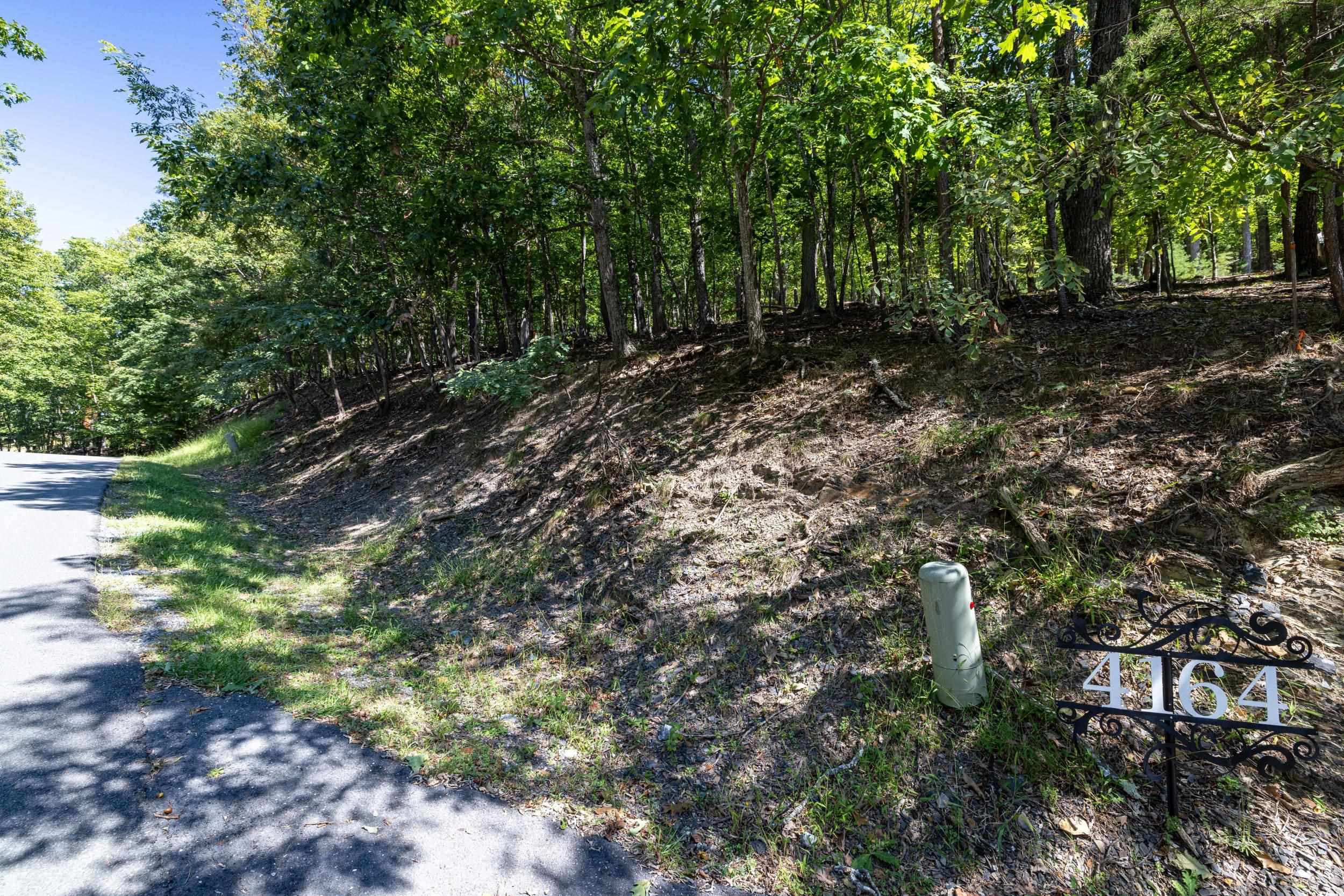 4180 PALMER RD, MCGAHEYSVILLE, Virginia 22840, ,Land,4180 PALMER RD,682307 MLS # 682307 4180 PALMER RD, MCGAHEYSVILLE, Virginia 22840, ,Land,4180 PALMER RD,682307 MLS # 682307