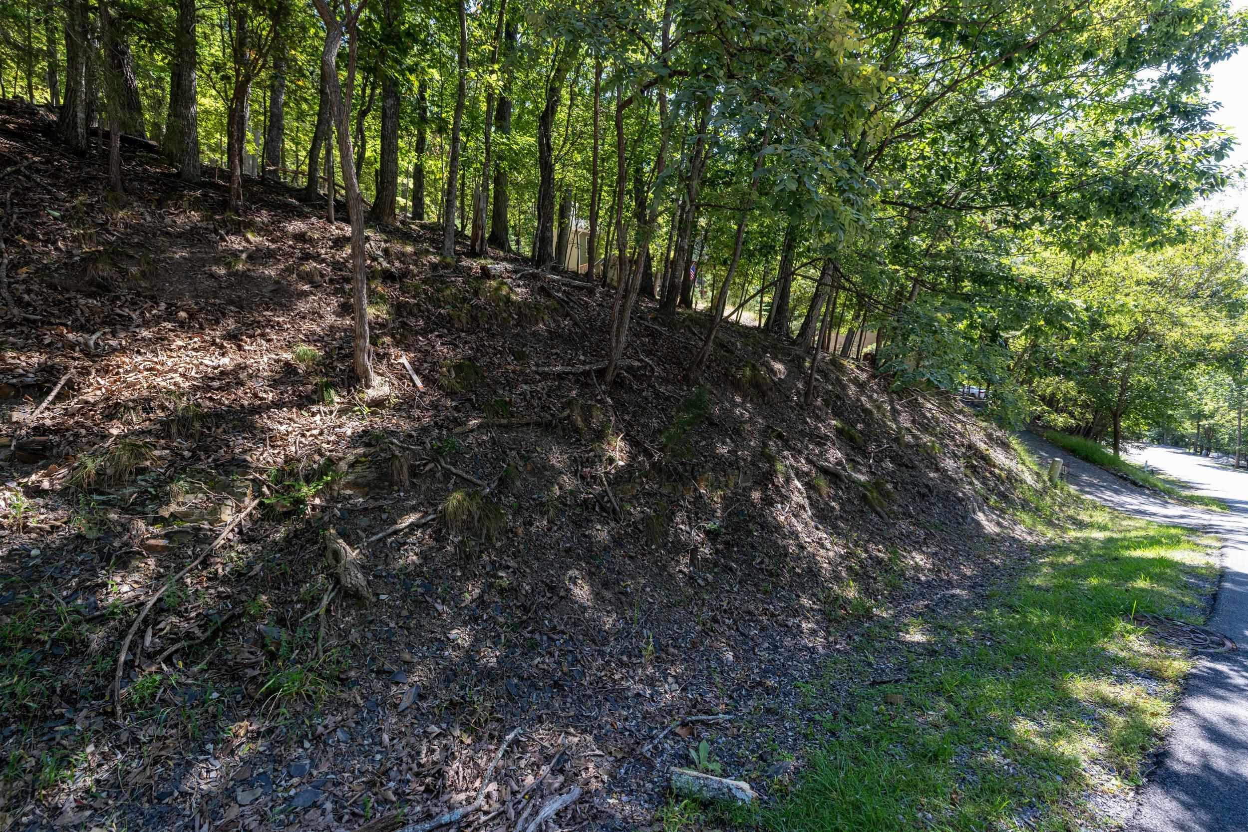 4180 PALMER RD, MCGAHEYSVILLE, Virginia 22840, ,Land,4180 PALMER RD,682307 MLS # 682307 4180 PALMER RD, MCGAHEYSVILLE, Virginia 22840, ,Land,4180 PALMER RD,682307 MLS # 682307