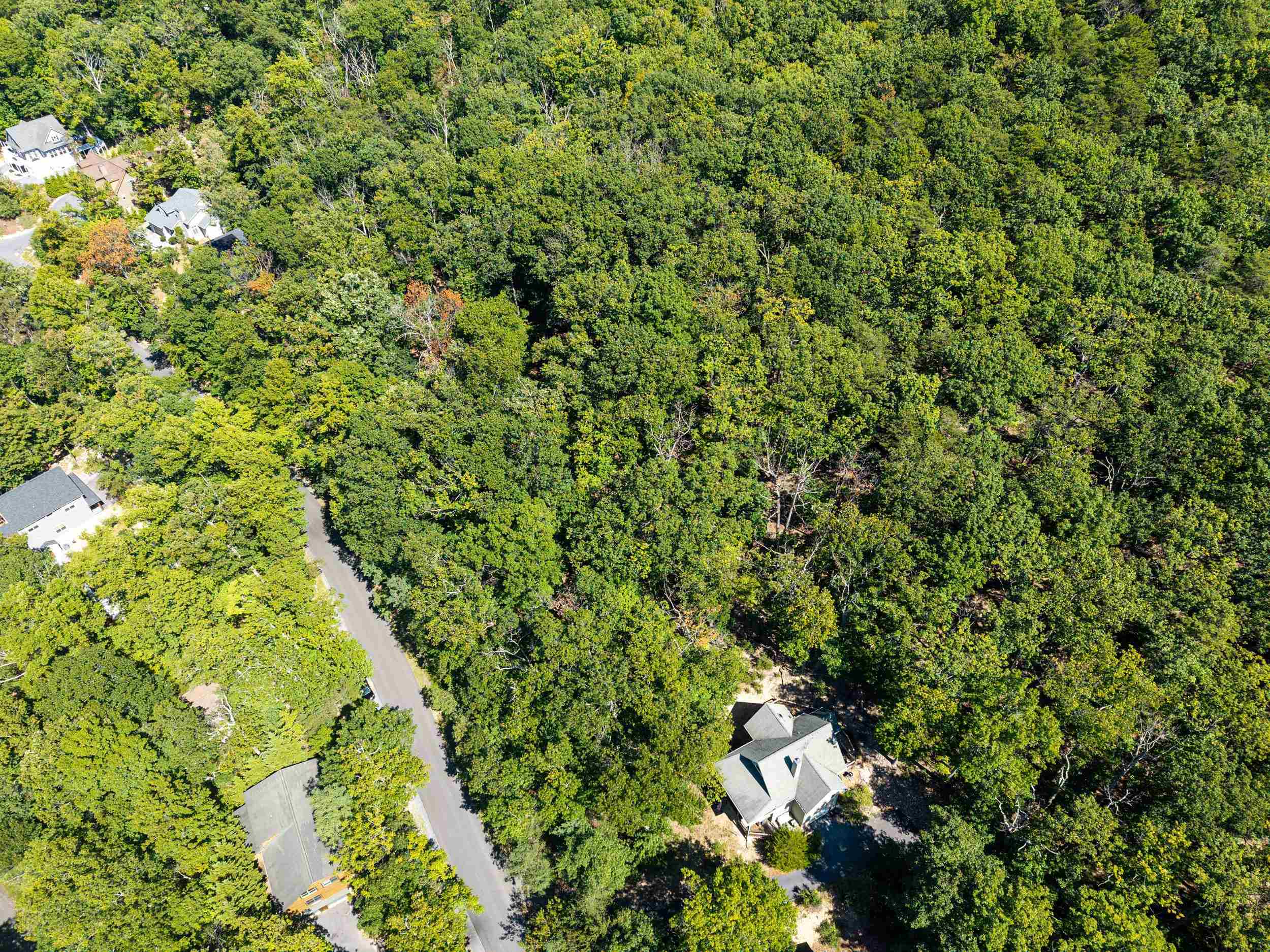 4180 PALMER RD, MCGAHEYSVILLE, Virginia 22840, ,Land,4180 PALMER RD,682307 MLS # 682307 4180 PALMER RD, MCGAHEYSVILLE, Virginia 22840, ,Land,4180 PALMER RD,682307 MLS # 682307