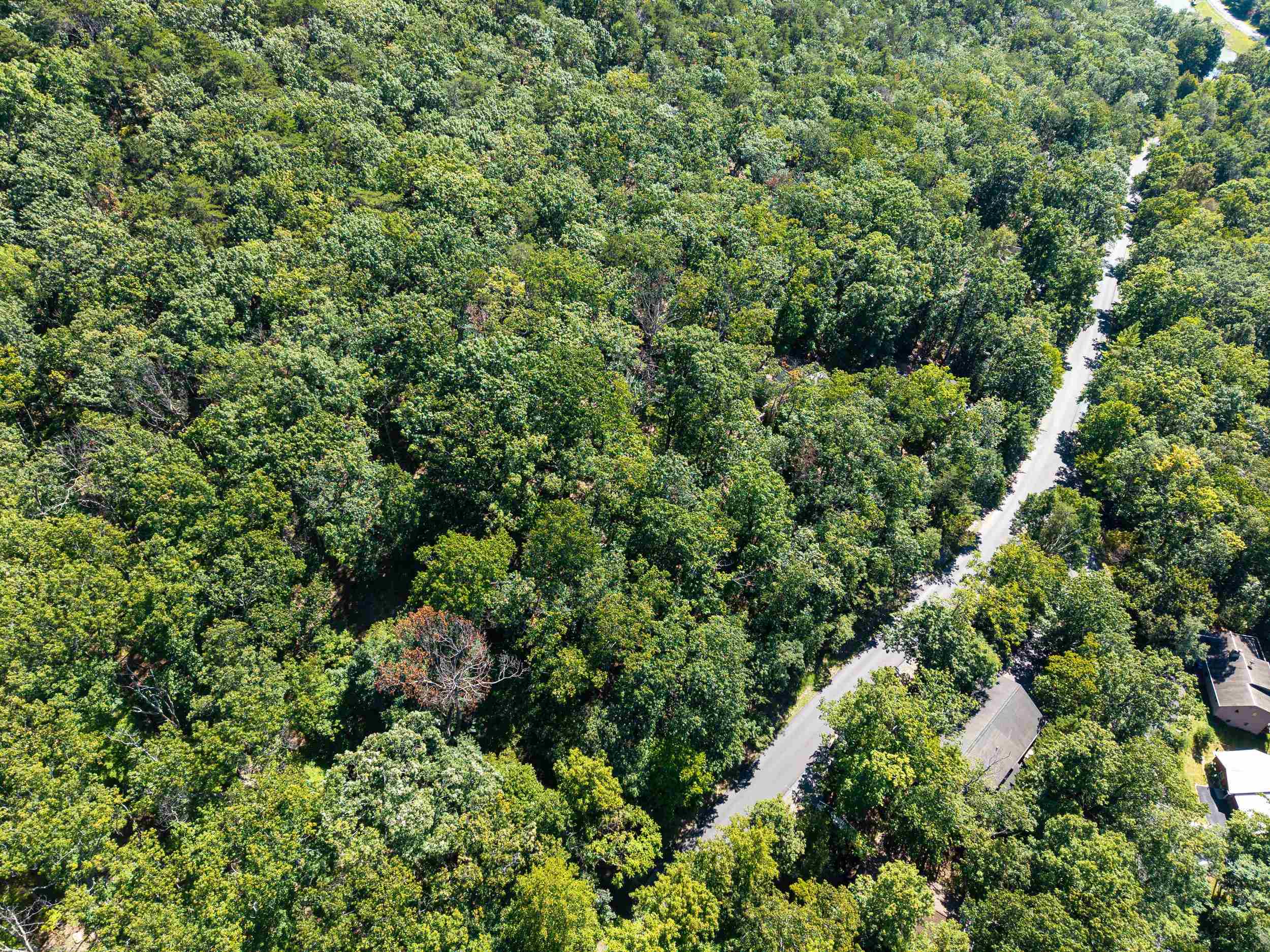4180 PALMER RD, MCGAHEYSVILLE, Virginia 22840, ,Land,4180 PALMER RD,682307 MLS # 682307 4180 PALMER RD, MCGAHEYSVILLE, Virginia 22840, ,Land,4180 PALMER RD,682307 MLS # 682307