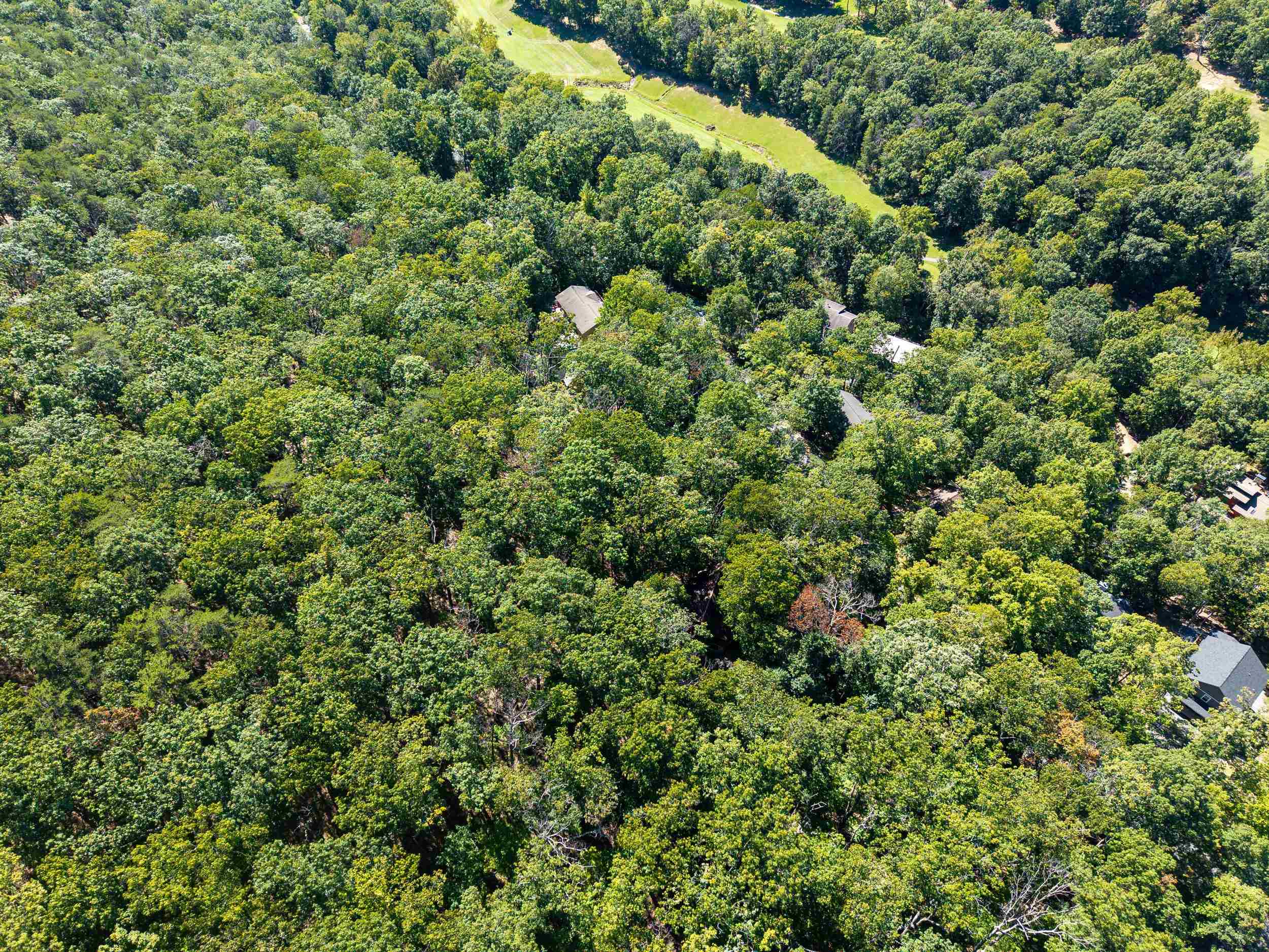 4180 PALMER RD, MCGAHEYSVILLE, Virginia 22840, ,Land,4180 PALMER RD,682307 MLS # 682307 4180 PALMER RD, MCGAHEYSVILLE, Virginia 22840, ,Land,4180 PALMER RD,682307 MLS # 682307