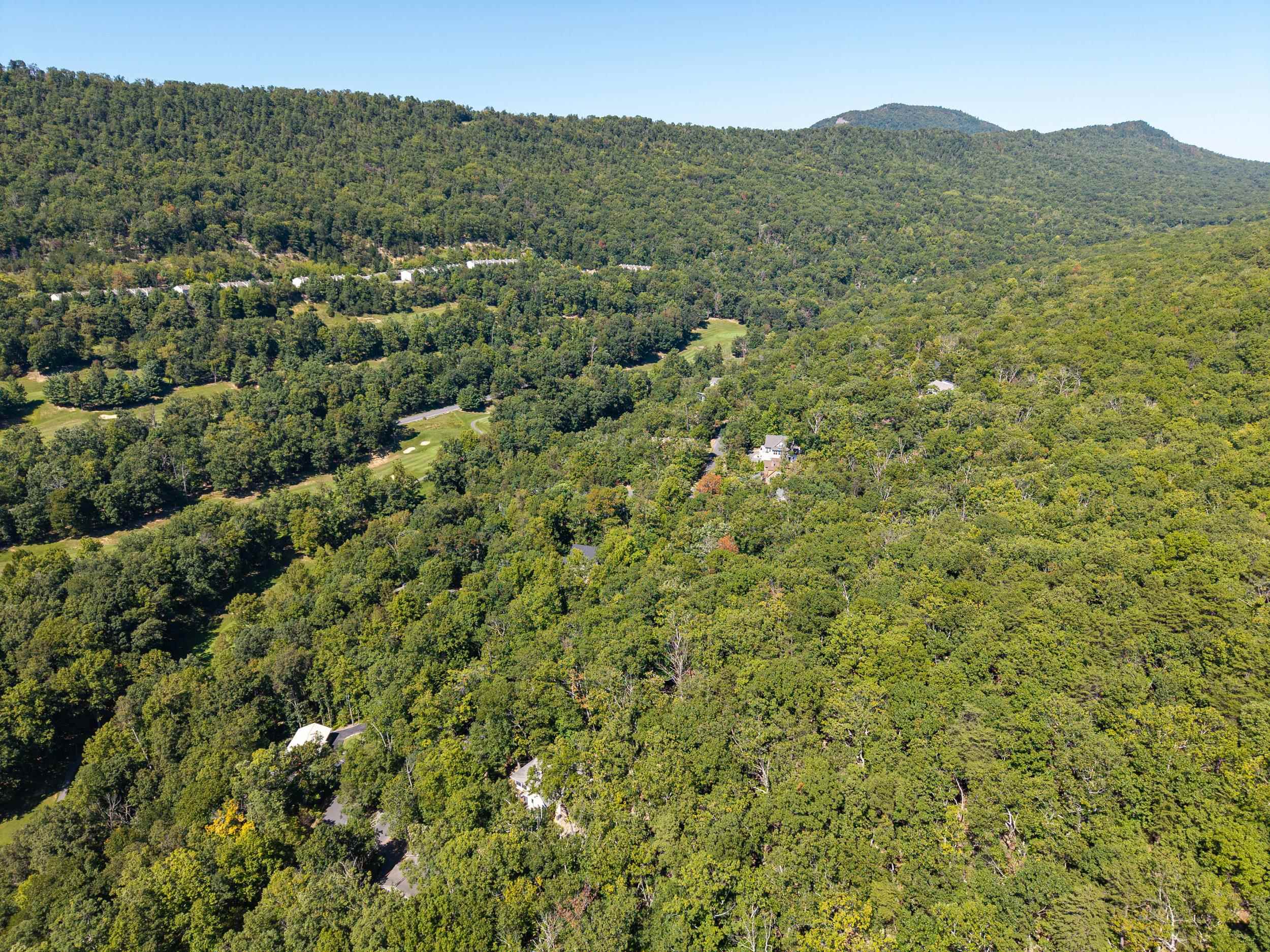 4180 PALMER RD, MCGAHEYSVILLE, Virginia 22840, ,Land,4180 PALMER RD,682307 MLS # 682307 4180 PALMER RD, MCGAHEYSVILLE, Virginia 22840, ,Land,4180 PALMER RD,682307 MLS # 682307