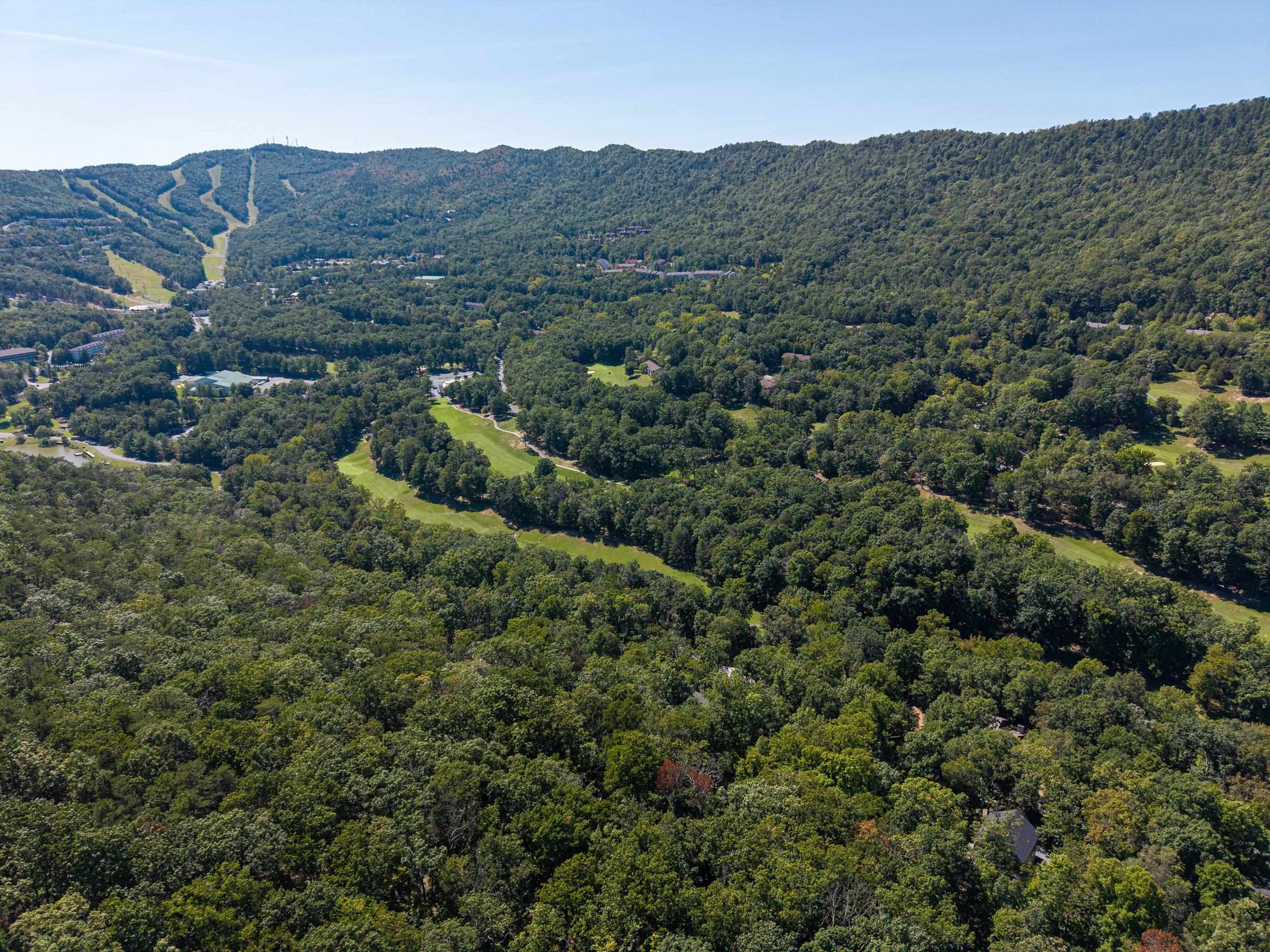 4180 PALMER RD, MCGAHEYSVILLE, Virginia 22840, ,Land,4180 PALMER RD,682307 MLS # 682307 4180 PALMER RD, MCGAHEYSVILLE, Virginia 22840, ,Land,4180 PALMER RD,682307 MLS # 682307
