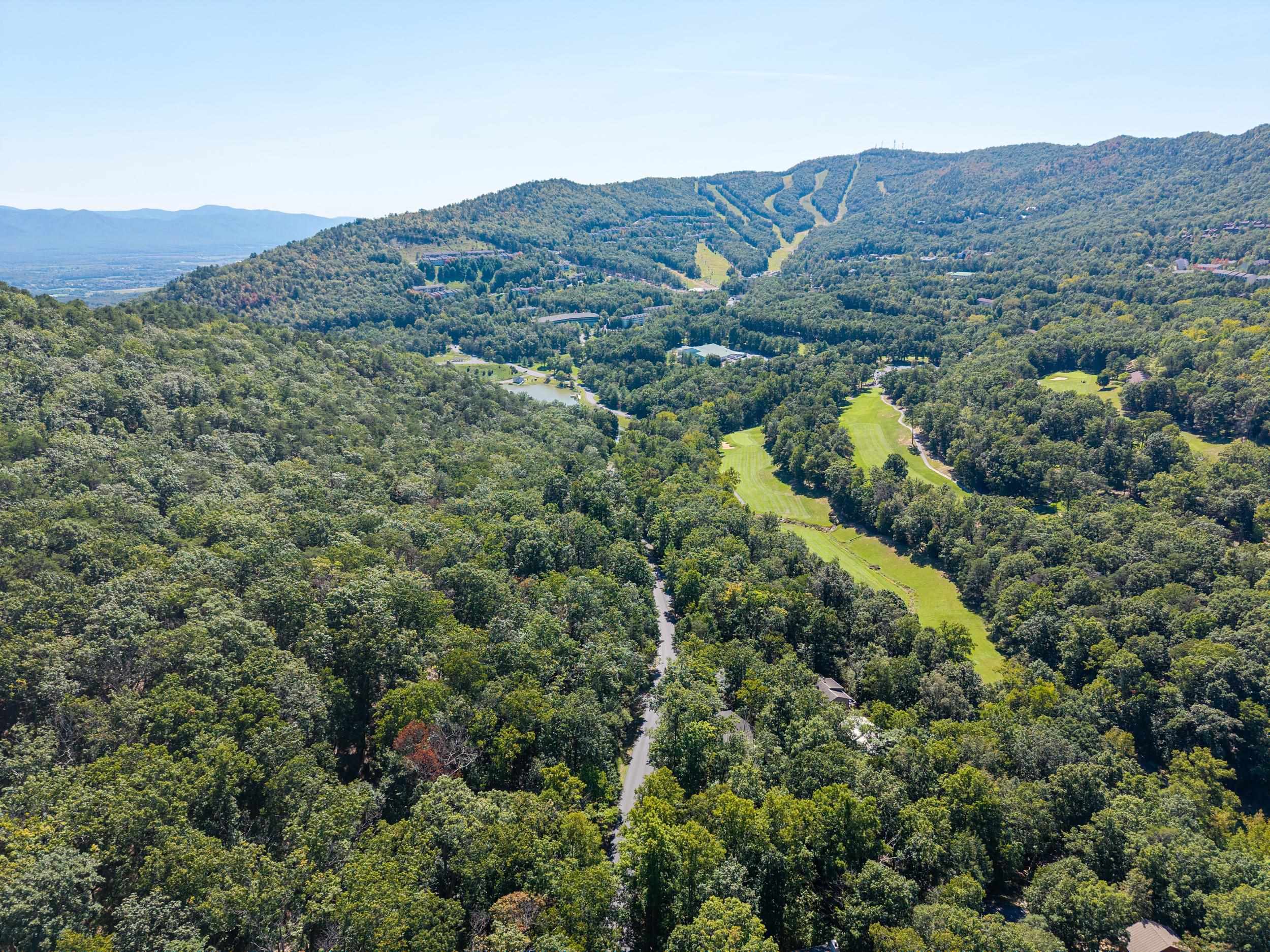 4180 PALMER RD, MCGAHEYSVILLE, Virginia 22840, ,Land,4180 PALMER RD,682307 MLS # 682307 4180 PALMER RD, MCGAHEYSVILLE, Virginia 22840, ,Land,4180 PALMER RD,682307 MLS # 682307