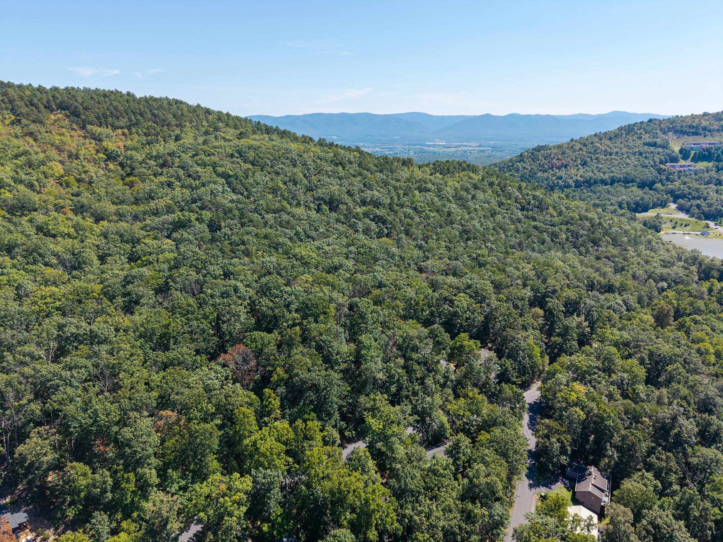 4180 PALMER RD, MCGAHEYSVILLE, Virginia 22840, ,Land,4180 PALMER RD,682307 MLS # 682307 4180 PALMER RD, MCGAHEYSVILLE, Virginia 22840, ,Land,4180 PALMER RD,682307 MLS # 682307