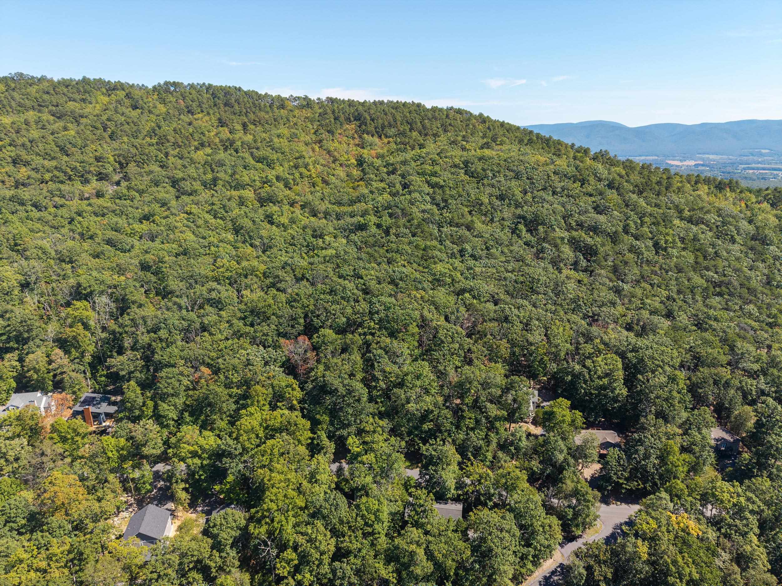 4180 PALMER RD, MCGAHEYSVILLE, Virginia 22840, ,Land,4180 PALMER RD,682307 MLS # 682307 4180 PALMER RD, MCGAHEYSVILLE, Virginia 22840, ,Land,4180 PALMER RD,682307 MLS # 682307
