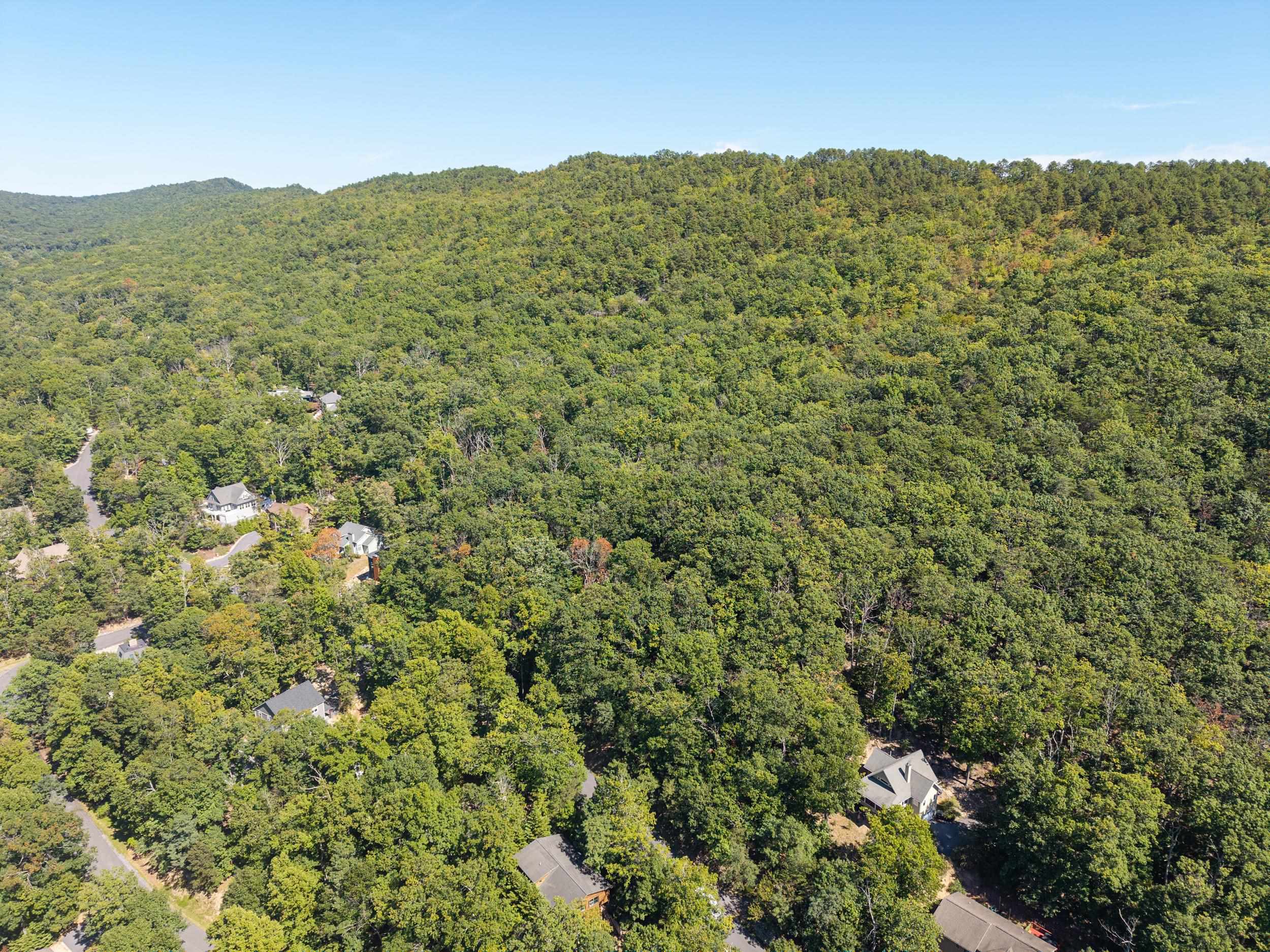 4180 PALMER RD, MCGAHEYSVILLE, Virginia 22840, ,Land,4180 PALMER RD,682307 MLS # 682307 4180 PALMER RD, MCGAHEYSVILLE, Virginia 22840, ,Land,4180 PALMER RD,682307 MLS # 682307