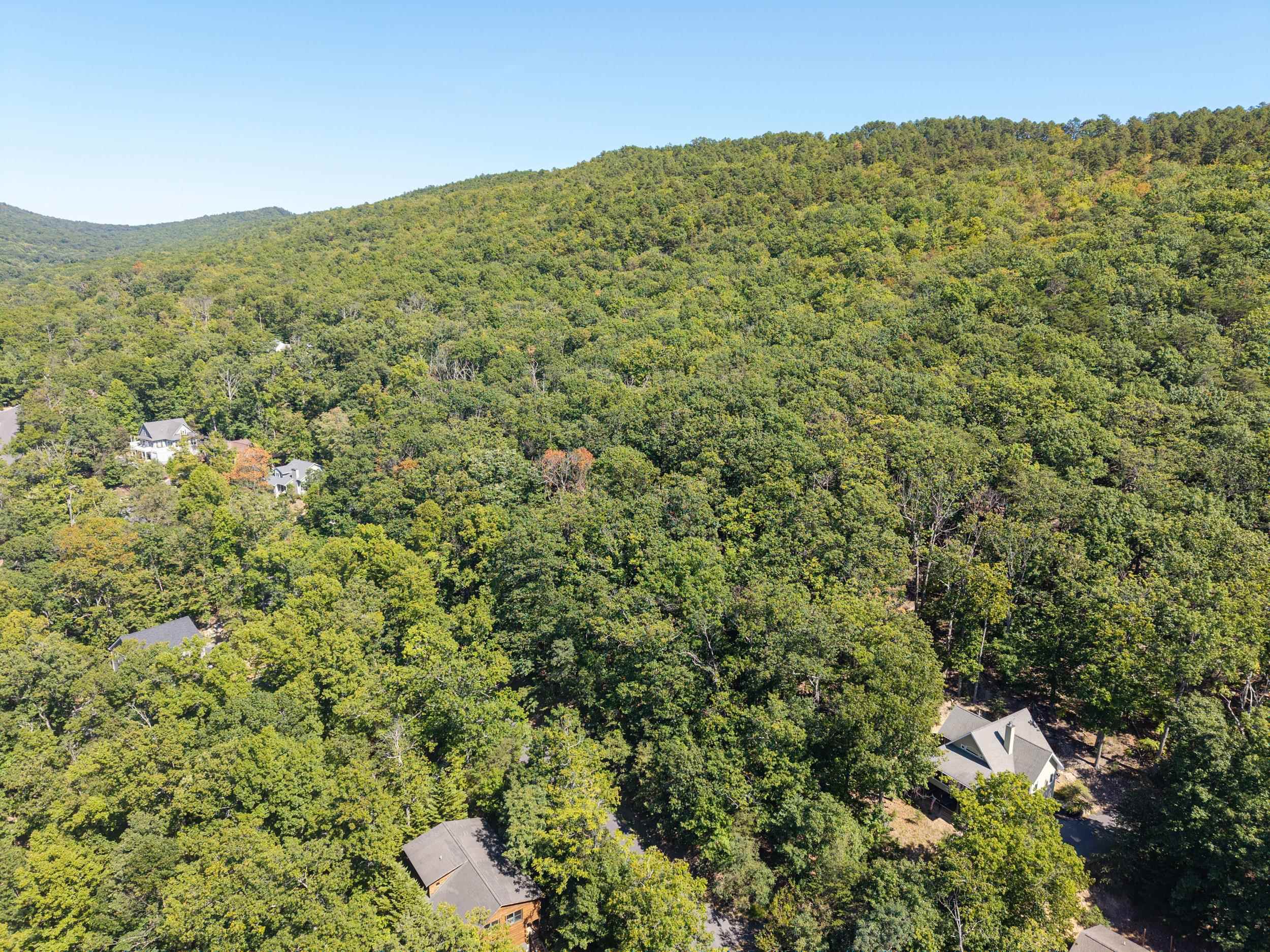 4180 PALMER RD, MCGAHEYSVILLE, Virginia 22840, ,Land,4180 PALMER RD,682307 MLS # 682307 4180 PALMER RD, MCGAHEYSVILLE, Virginia 22840, ,Land,4180 PALMER RD,682307 MLS # 682307