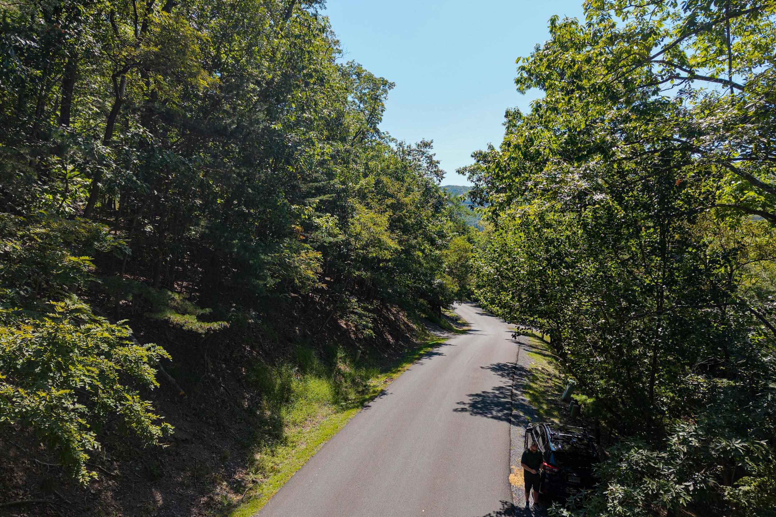 4180 PALMER RD, MCGAHEYSVILLE, Virginia 22840, ,Land,4180 PALMER RD,682307 MLS # 682307 4180 PALMER RD, MCGAHEYSVILLE, Virginia 22840, ,Land,4180 PALMER RD,682307 MLS # 682307