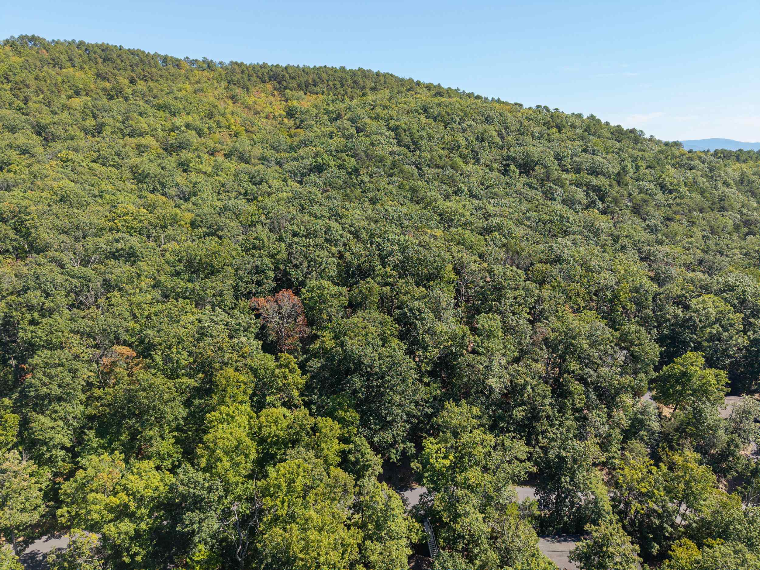 4180 PALMER RD, MCGAHEYSVILLE, Virginia 22840, ,Land,4180 PALMER RD,682307 MLS # 682307 4180 PALMER RD, MCGAHEYSVILLE, Virginia 22840, ,Land,4180 PALMER RD,682307 MLS # 682307