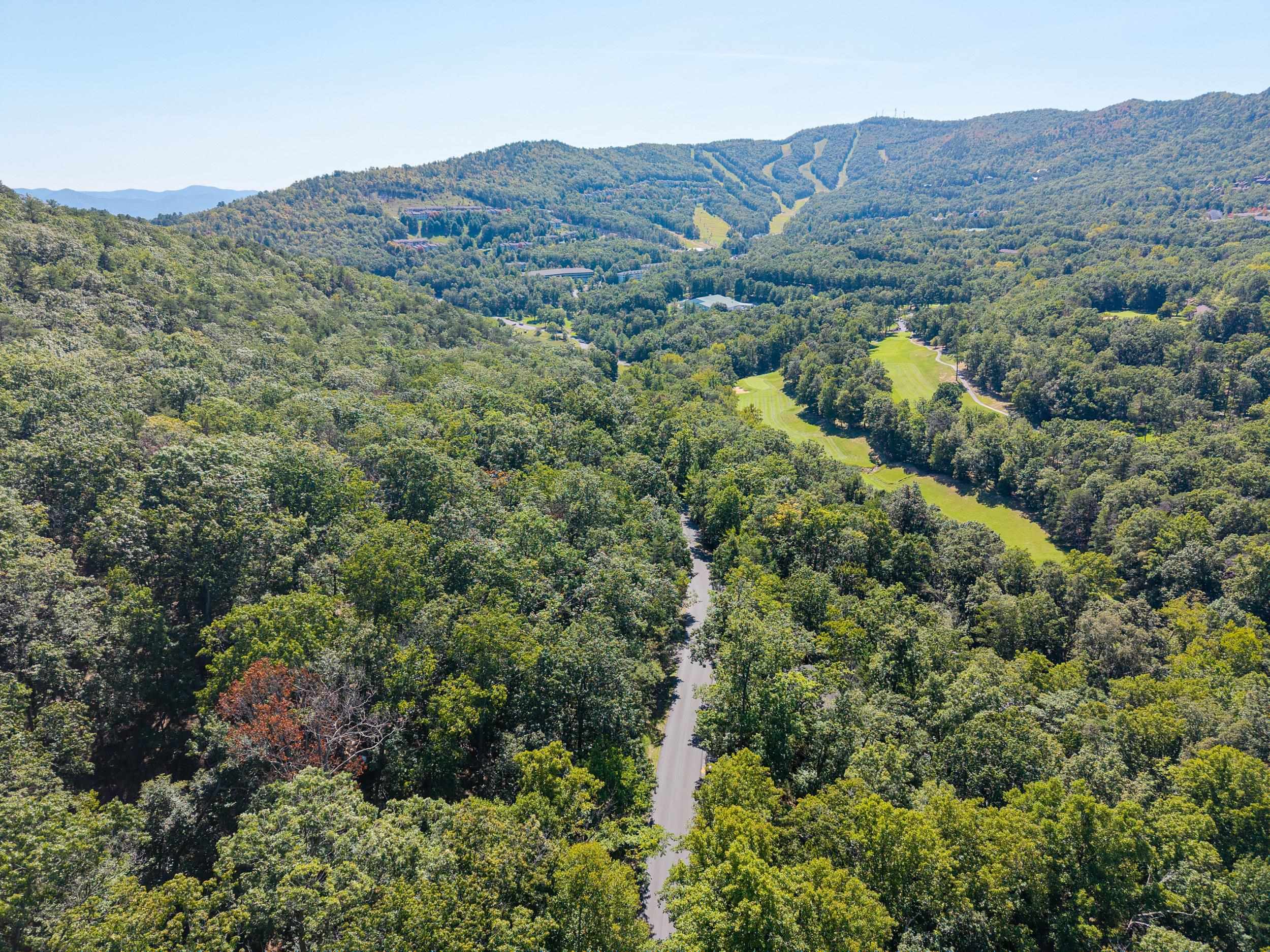 4180 PALMER RD, MCGAHEYSVILLE, Virginia 22840, ,Land,4180 PALMER RD,682307 MLS # 682307 4180 PALMER RD, MCGAHEYSVILLE, Virginia 22840, ,Land,4180 PALMER RD,682307 MLS # 682307
