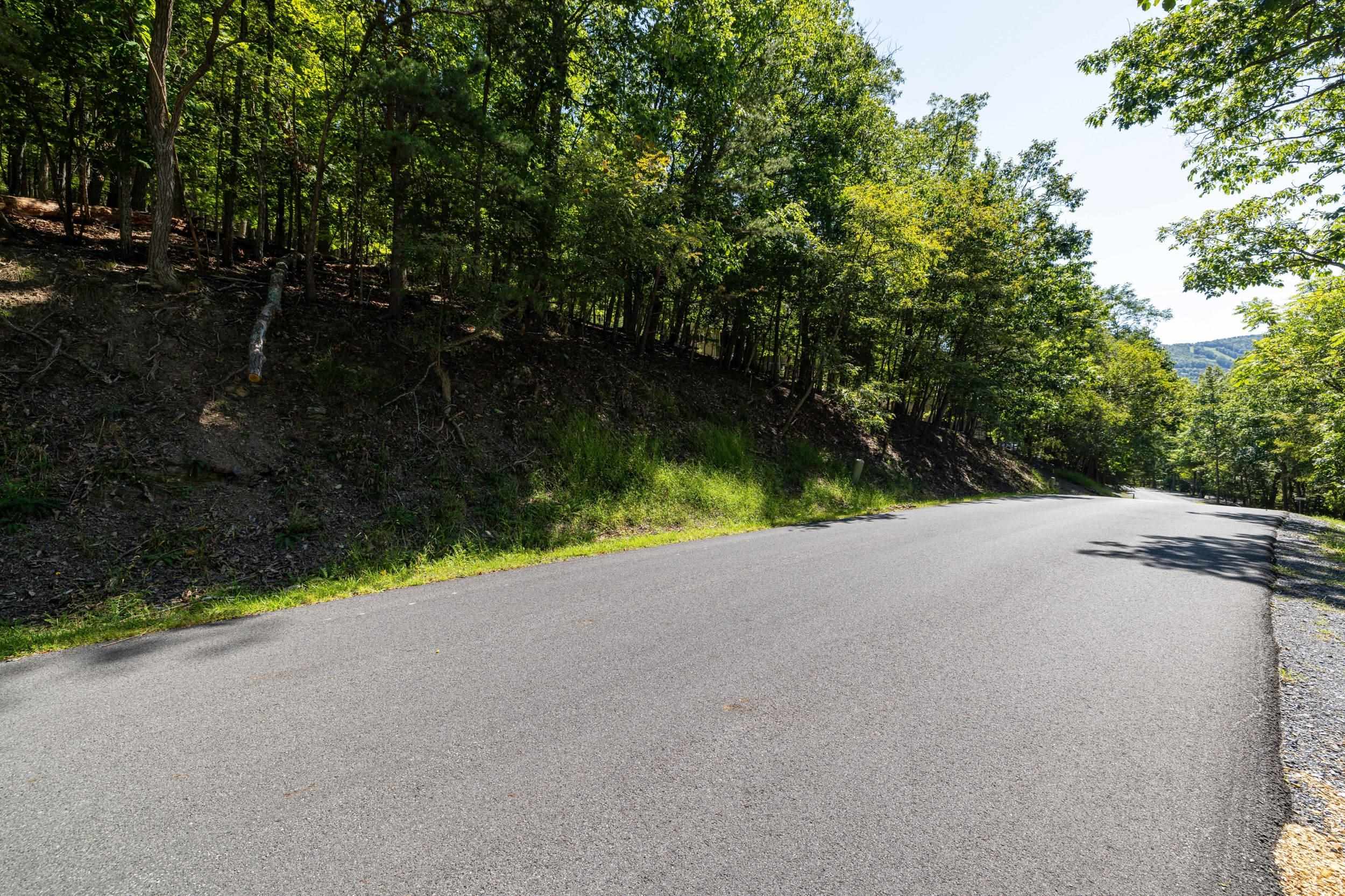 4180 PALMER RD, MCGAHEYSVILLE, Virginia 22840, ,Land,4180 PALMER RD,682307 MLS # 682307 4180 PALMER RD, MCGAHEYSVILLE, Virginia 22840, ,Land,4180 PALMER RD,682307 MLS # 682307