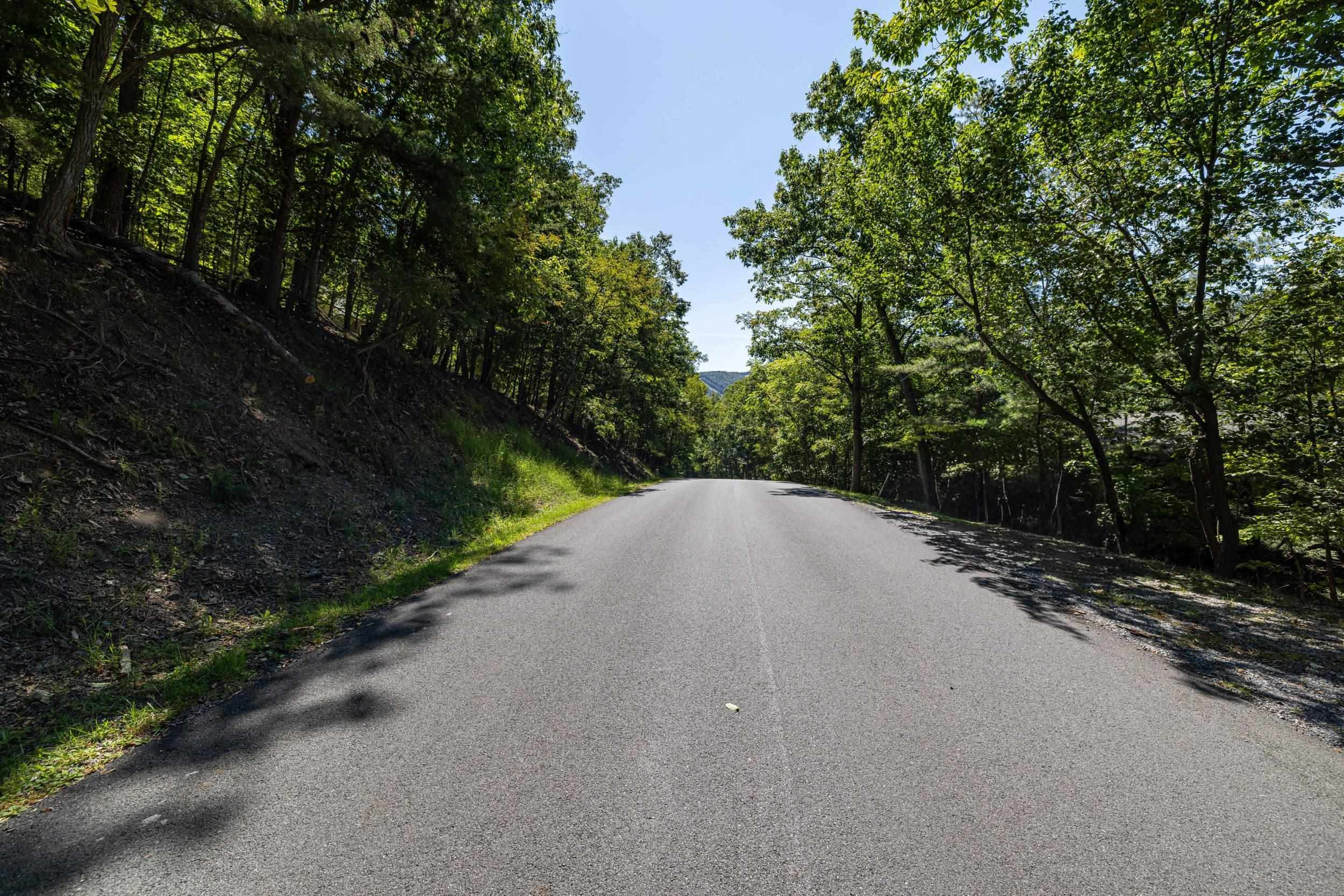 4180 PALMER RD, MCGAHEYSVILLE, Virginia 22840, ,Land,4180 PALMER RD,682307 MLS # 682307 4180 PALMER RD, MCGAHEYSVILLE, Virginia 22840, ,Land,4180 PALMER RD,682307 MLS # 682307