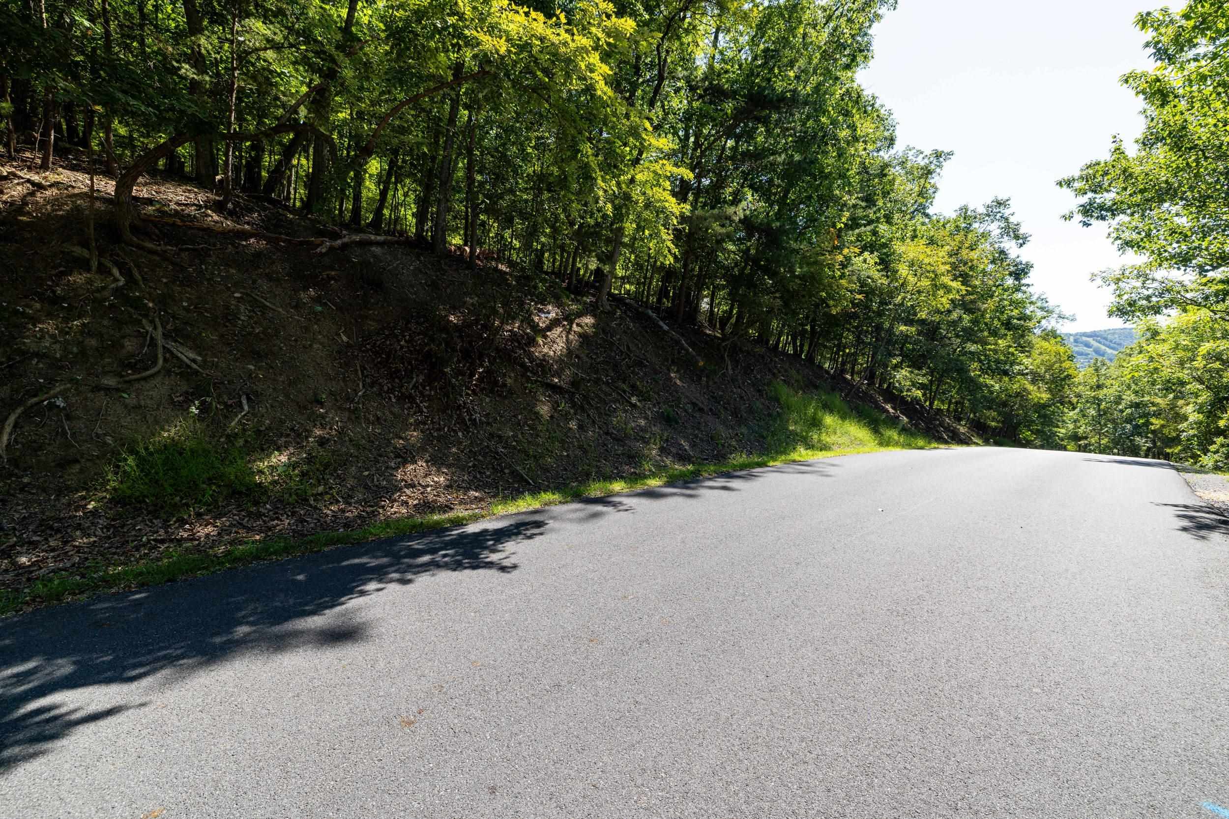 4180 PALMER RD, MCGAHEYSVILLE, Virginia 22840, ,Land,4180 PALMER RD,682307 MLS # 682307 4180 PALMER RD, MCGAHEYSVILLE, Virginia 22840, ,Land,4180 PALMER RD,682307 MLS # 682307