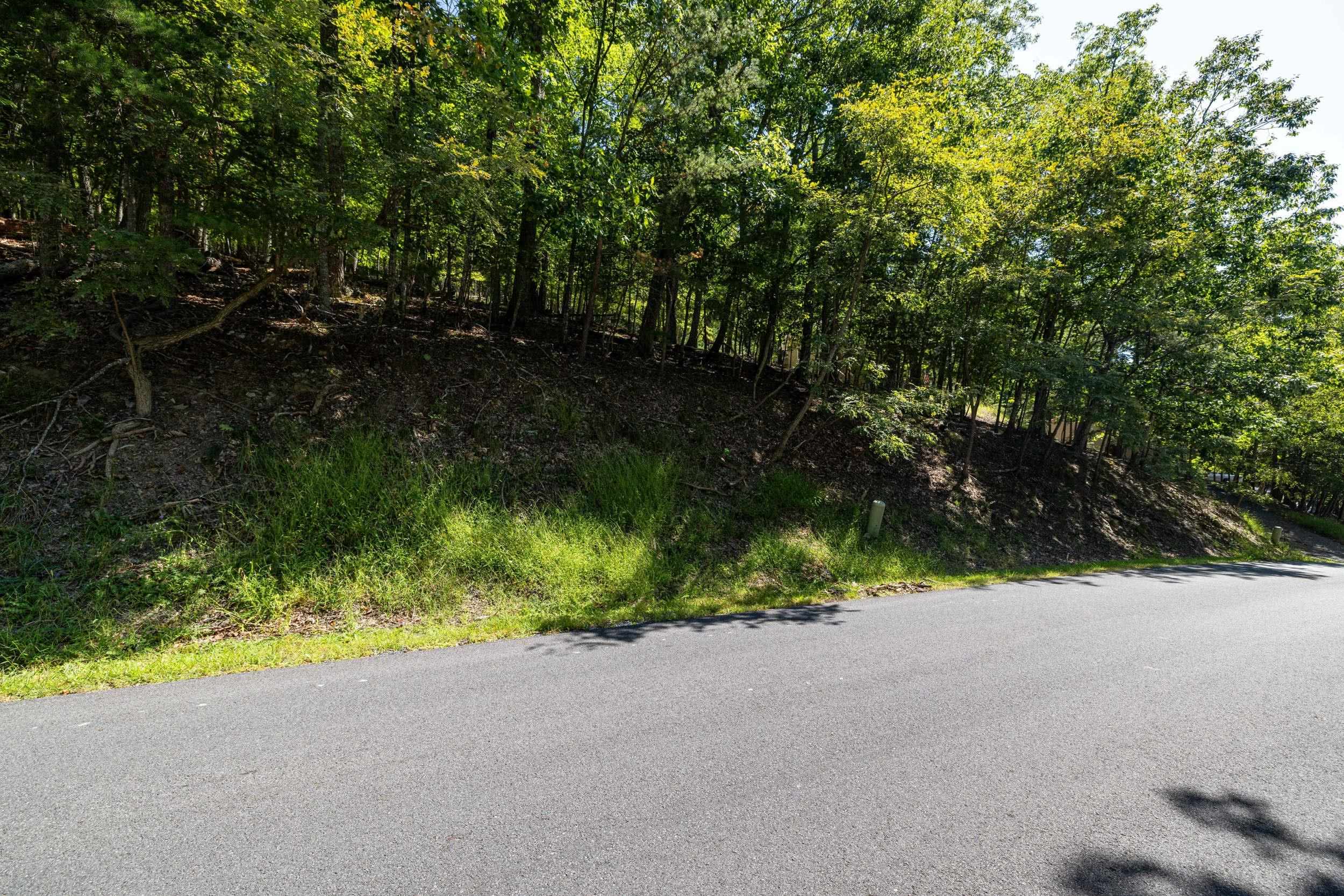 4180 PALMER RD, MCGAHEYSVILLE, Virginia 22840, ,Land,4180 PALMER RD,682307 MLS # 682307 4180 PALMER RD, MCGAHEYSVILLE, Virginia 22840, ,Land,4180 PALMER RD,682307 MLS # 682307