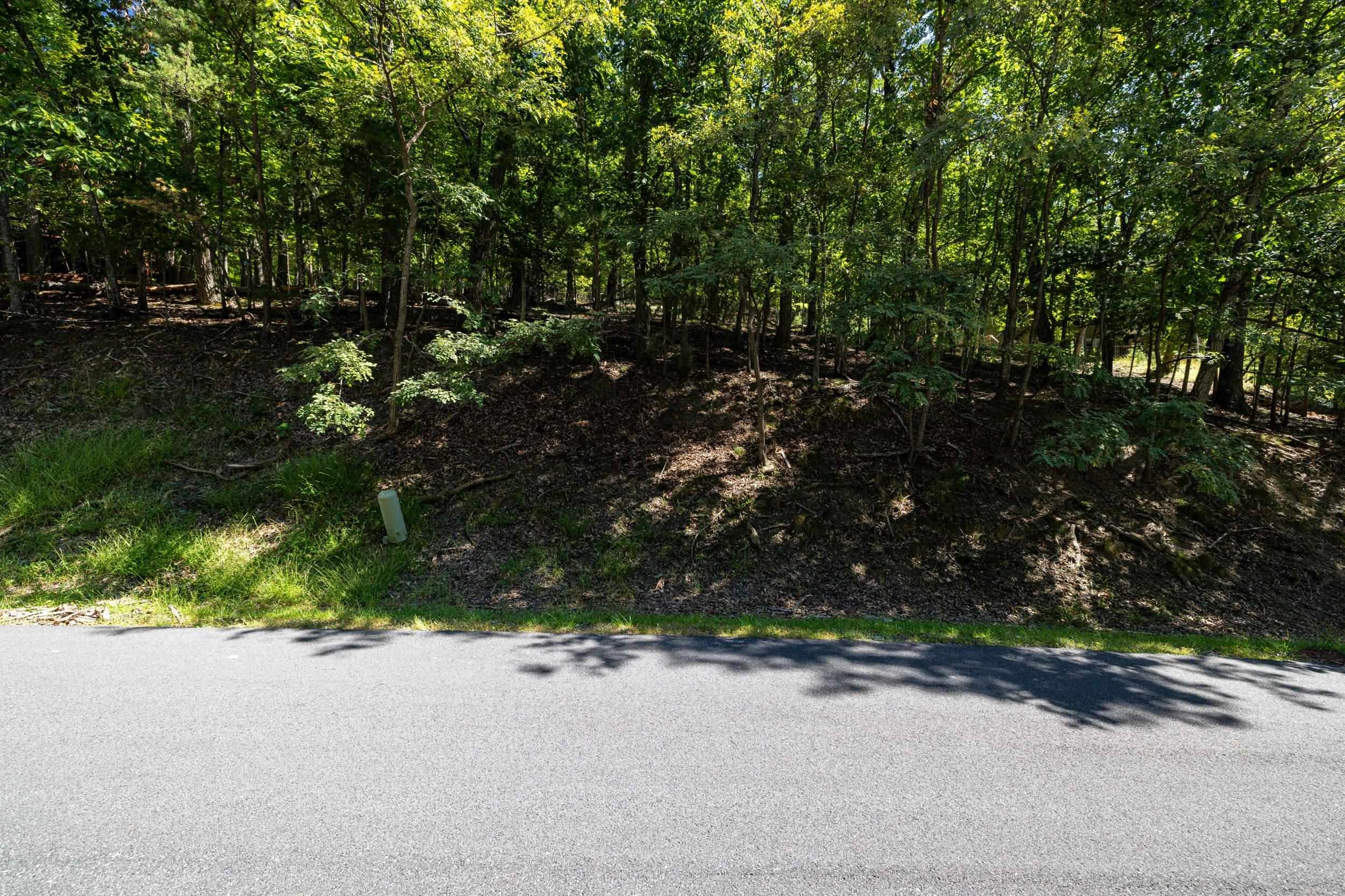 4180 PALMER RD, MCGAHEYSVILLE, Virginia 22840, ,Land,4180 PALMER RD,682307 MLS # 682307 4180 PALMER RD, MCGAHEYSVILLE, Virginia 22840, ,Land,4180 PALMER RD,682307 MLS # 682307