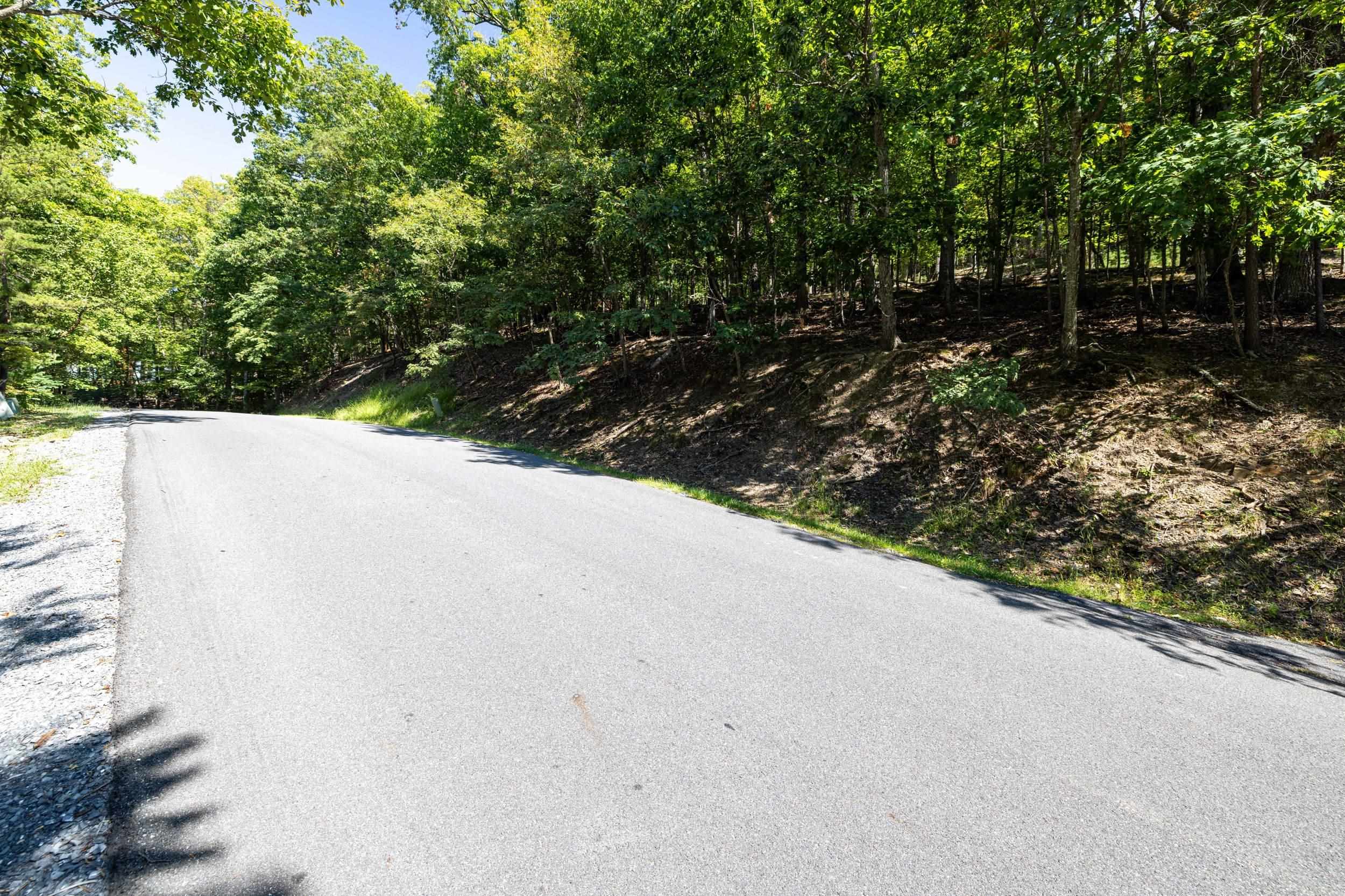 4180 PALMER RD, MCGAHEYSVILLE, Virginia 22840, ,Land,4180 PALMER RD,682307 MLS # 682307 4180 PALMER RD, MCGAHEYSVILLE, Virginia 22840, ,Land,4180 PALMER RD,682307 MLS # 682307