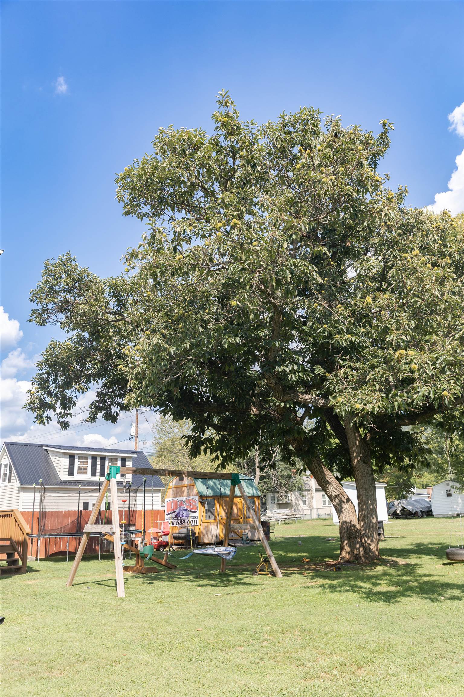 1766 NW FOREST AVE, BUENA VISTA, Virginia 24416, 3 Bedrooms Bedrooms, ,2 BathroomsBathrooms,Residential,1766 NW FOREST AVE,682311 MLS # 682311 1766 NW FOREST AVE, BUENA VISTA, Virginia 24416, 3 Bedrooms Bedrooms, ,2 BathroomsBathrooms,Residential,1766 NW FOREST AVE,682311 MLS # 682311
