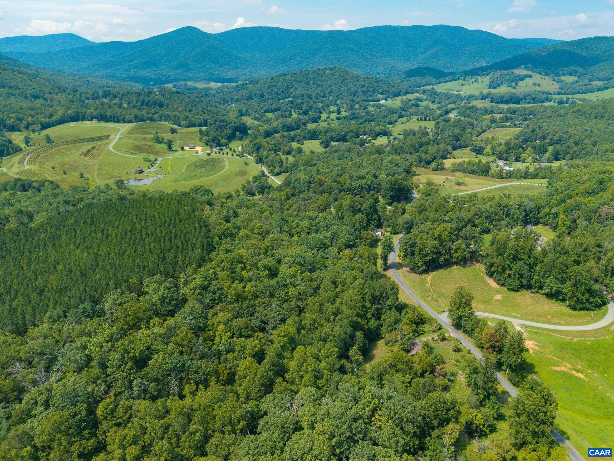 6864 FREE UNION RD, FREE UNION, Virginia 22940, ,Land,6864 FREE UNION RD,682221 MLS # 682221 6864 FREE UNION RD, FREE UNION, Virginia 22940, ,Land,6864 FREE UNION RD,682221 MLS # 682221