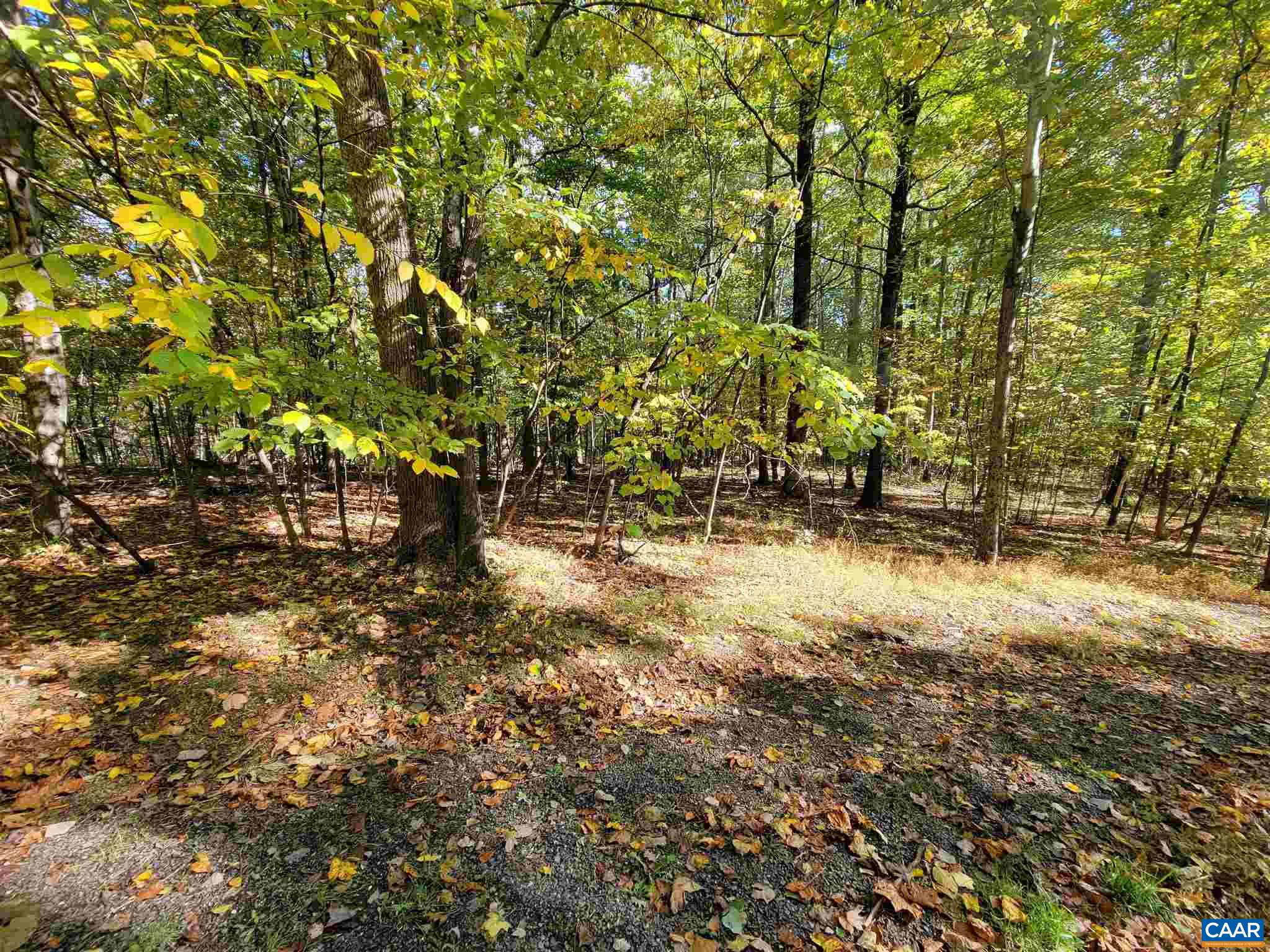 41 HICKORY SPRING RD, WINTERGREEN RESORT, Virginia 22967, ,Land,41 HICKORY SPRING RD,679178 MLS # 679178 41 HICKORY SPRING RD, WINTERGREEN RESORT, Virginia 22967, ,Land,41 HICKORY SPRING RD,679178 MLS # 679178