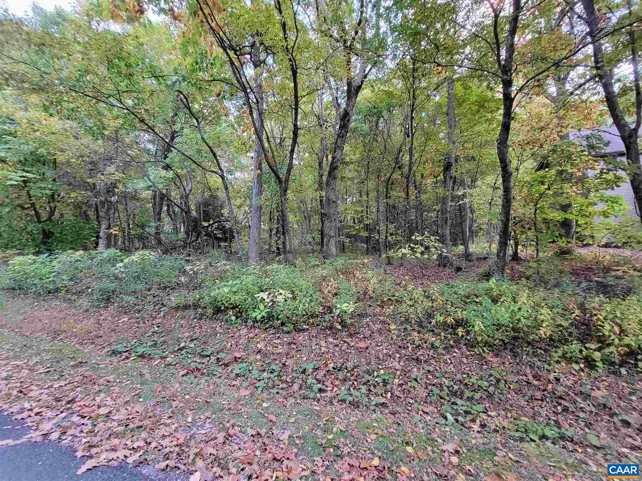 41 HICKORY SPRING RD, WINTERGREEN RESORT, Virginia 22967, ,Land,41 HICKORY SPRING RD,679178 MLS # 679178 41 HICKORY SPRING RD, WINTERGREEN RESORT, Virginia 22967, ,Land,41 HICKORY SPRING RD,679178 MLS # 679178