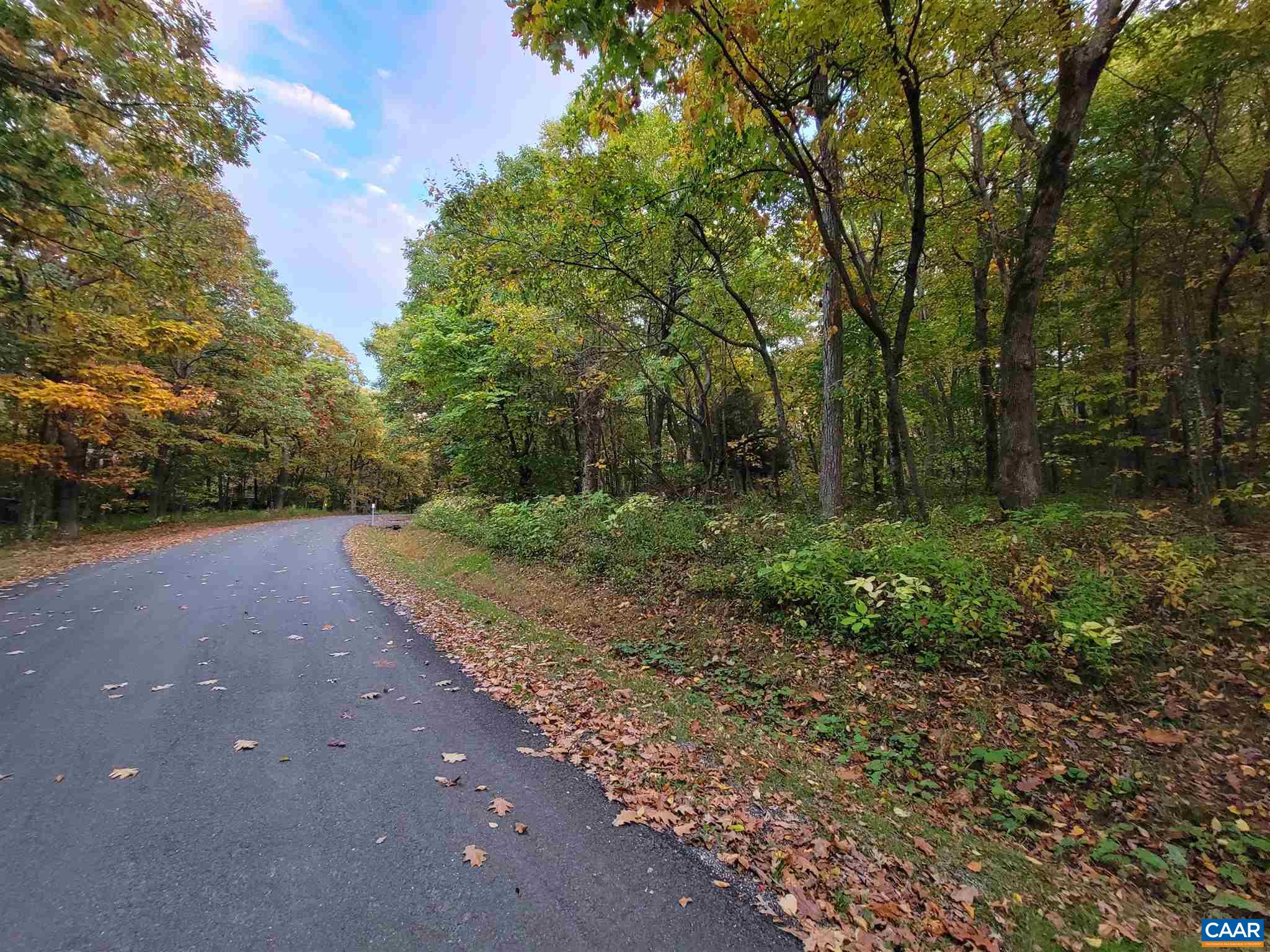 41 HICKORY SPRING RD, WINTERGREEN RESORT, Virginia 22967, ,Land,41 HICKORY SPRING RD,679178 MLS # 679178 41 HICKORY SPRING RD, WINTERGREEN RESORT, Virginia 22967, ,Land,41 HICKORY SPRING RD,679178 MLS # 679178