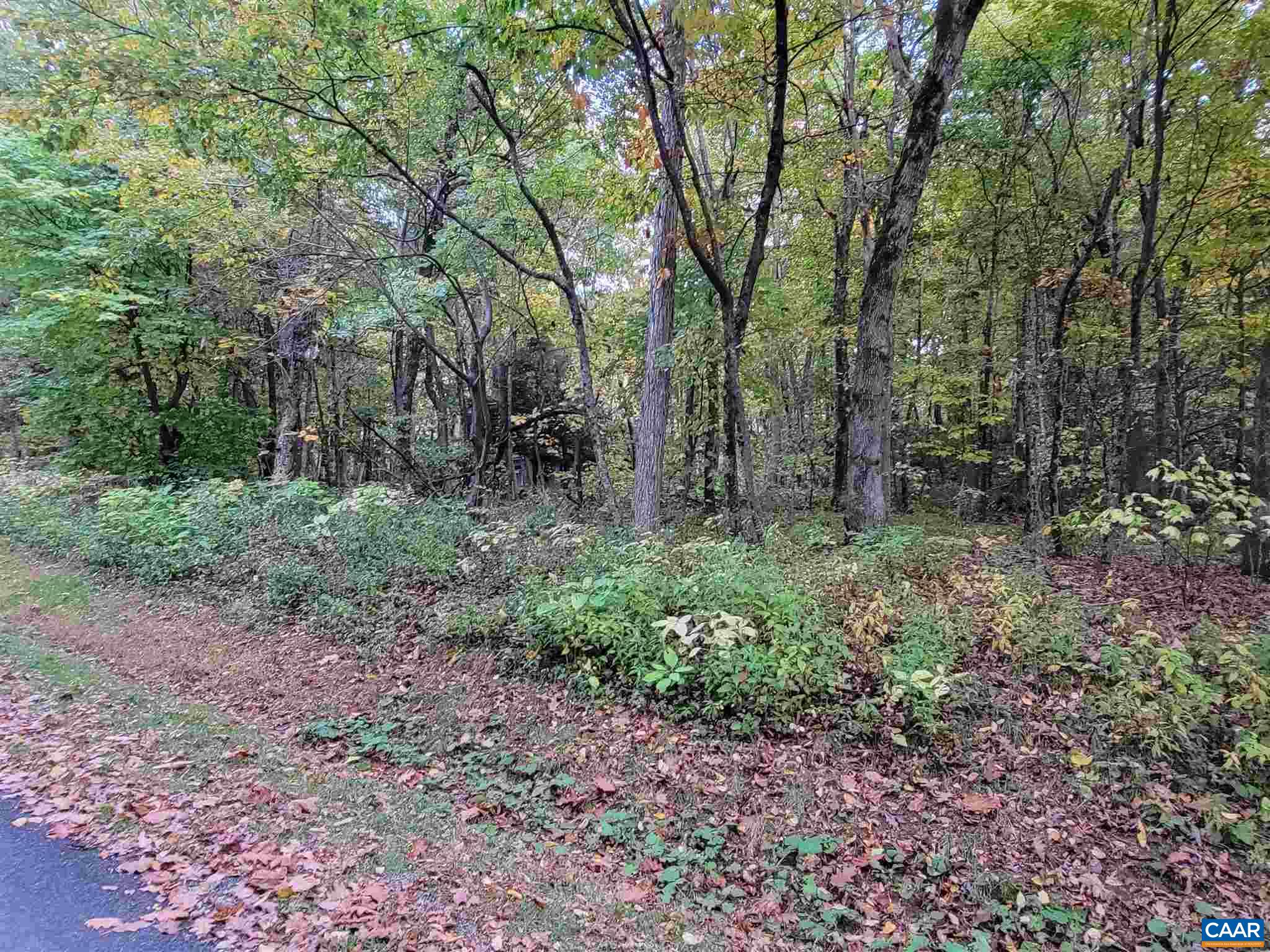 41 HICKORY SPRING RD, WINTERGREEN RESORT, Virginia 22967, ,Land,41 HICKORY SPRING RD,679178 MLS # 679178 41 HICKORY SPRING RD, WINTERGREEN RESORT, Virginia 22967, ,Land,41 HICKORY SPRING RD,679178 MLS # 679178