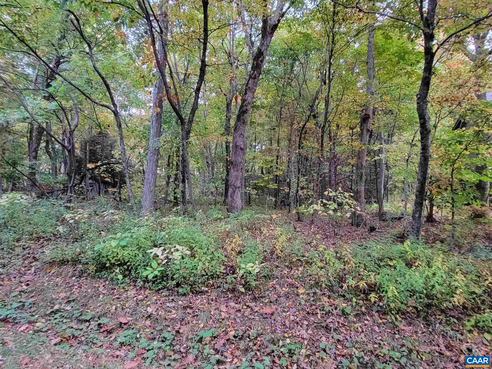 41 HICKORY SPRING RD, WINTERGREEN RESORT, Virginia 22967, ,Land,41 HICKORY SPRING RD,679178 MLS # 679178 41 HICKORY SPRING RD, WINTERGREEN RESORT, Virginia 22967, ,Land,41 HICKORY SPRING RD,679178 MLS # 679178